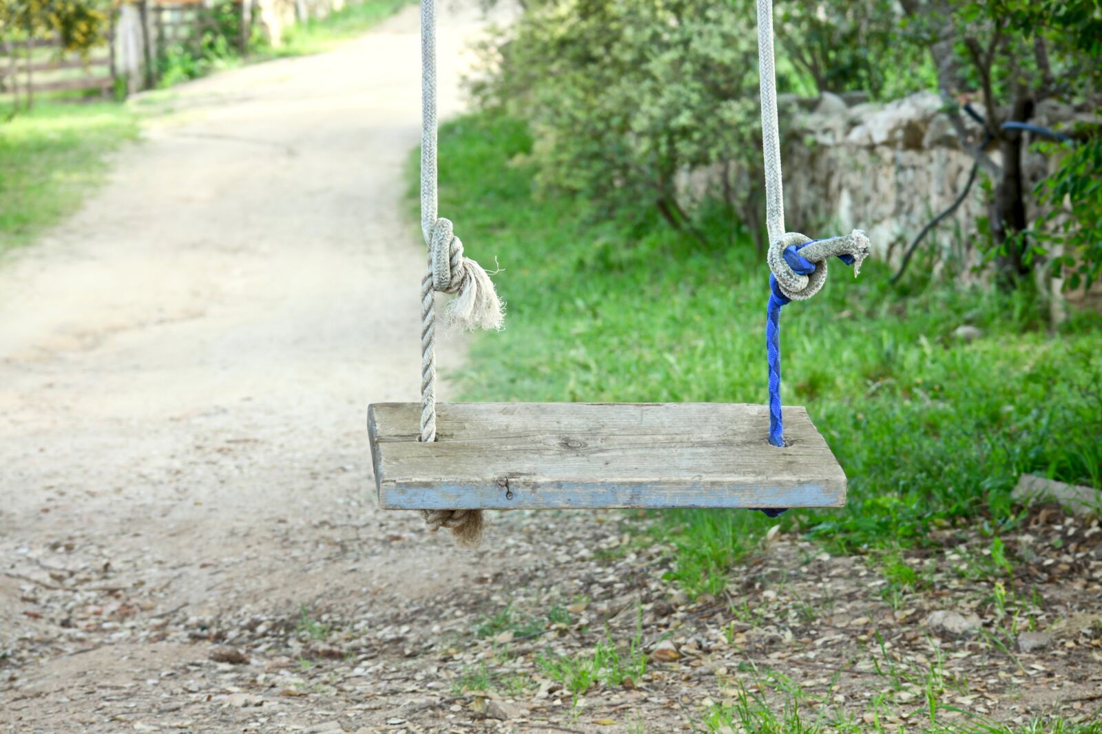 Canon EOS M sample photo. Swing, outdoors, garden photography