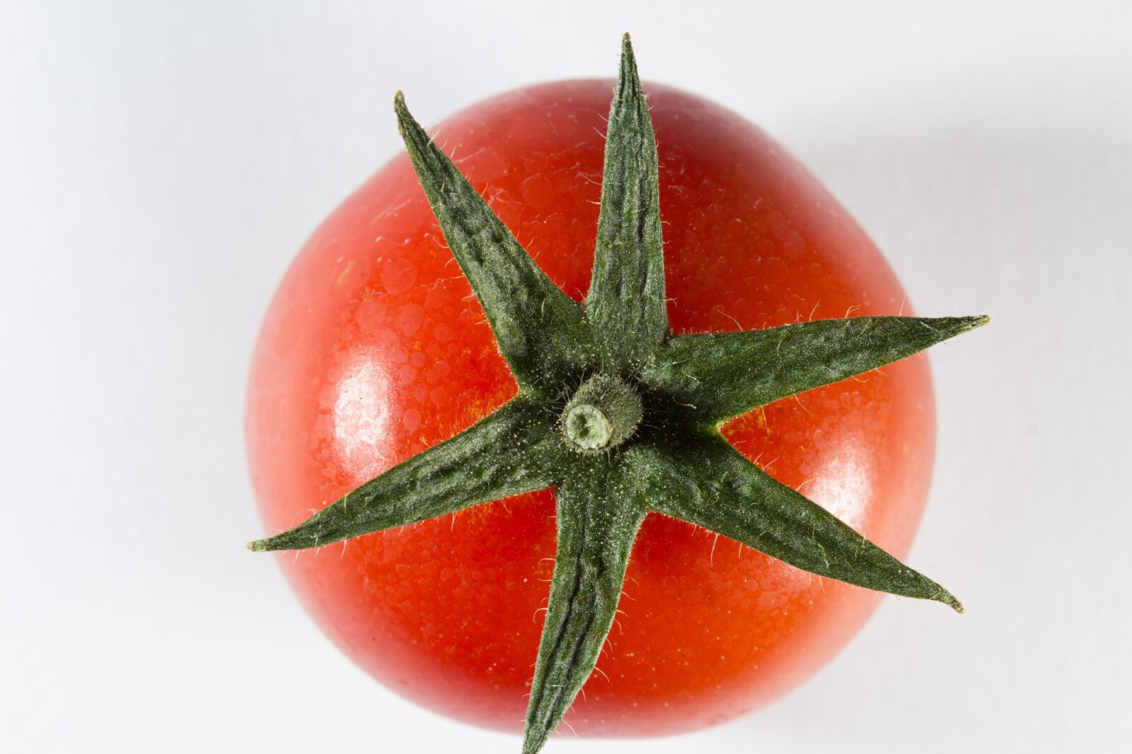 Canon EF-S 60mm F2.8 Macro USM sample photo. Tomato, cherry, round photography
