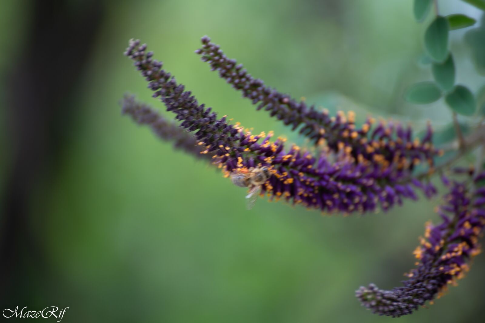 Canon EOS 6D sample photo. Park, bucuresti, nature photography
