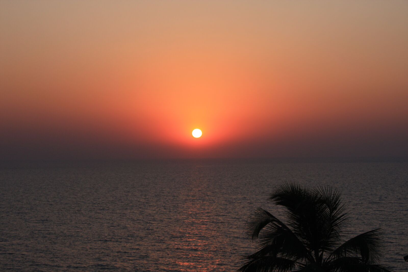Canon EOS 450D (EOS Rebel XSi / EOS Kiss X2) sample photo. Goa, india, beach photography