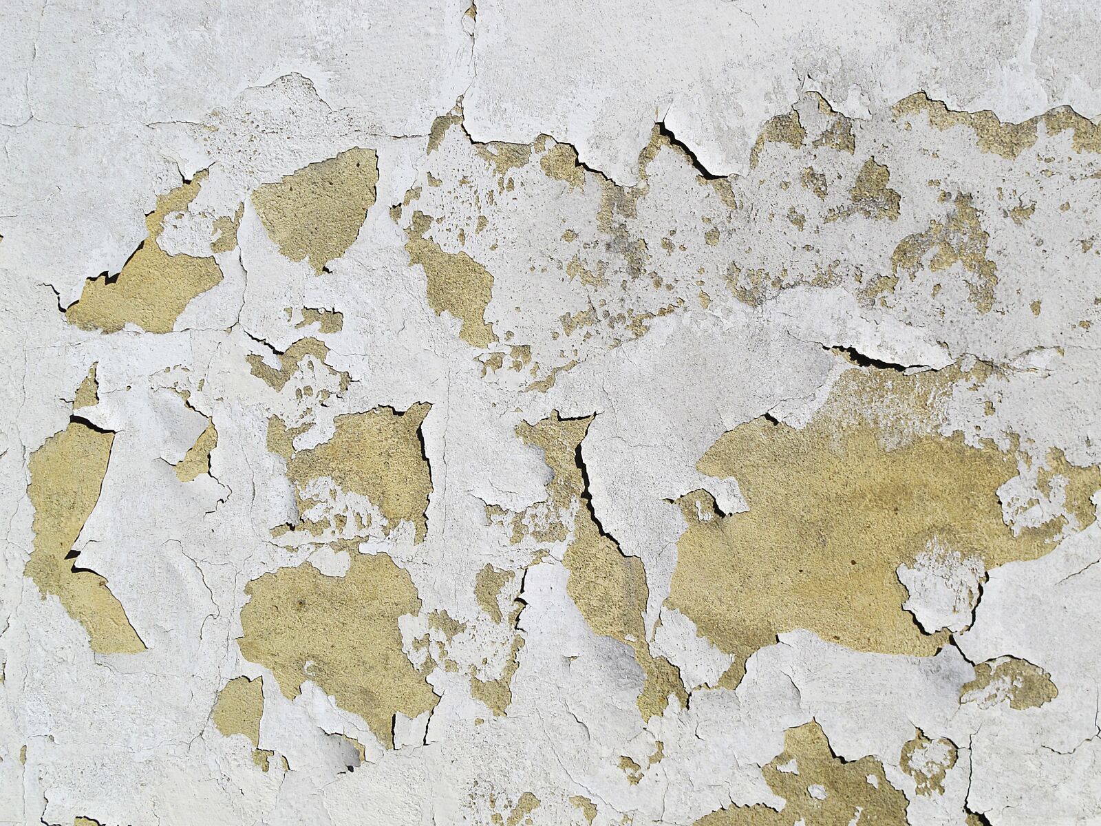 Canon PowerShot G12 sample photo. Wall, facade, plaster photography