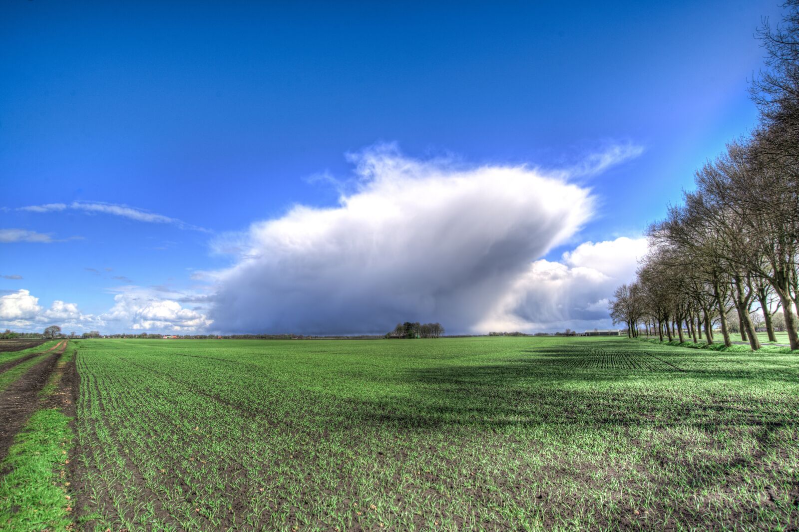 Nikon D610 sample photo. Cloud, sky, meadows photography