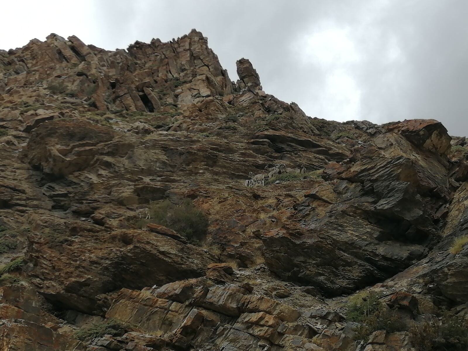 HUAWEI Honor 8x sample photo. Mountain, himachal, spiti photography
