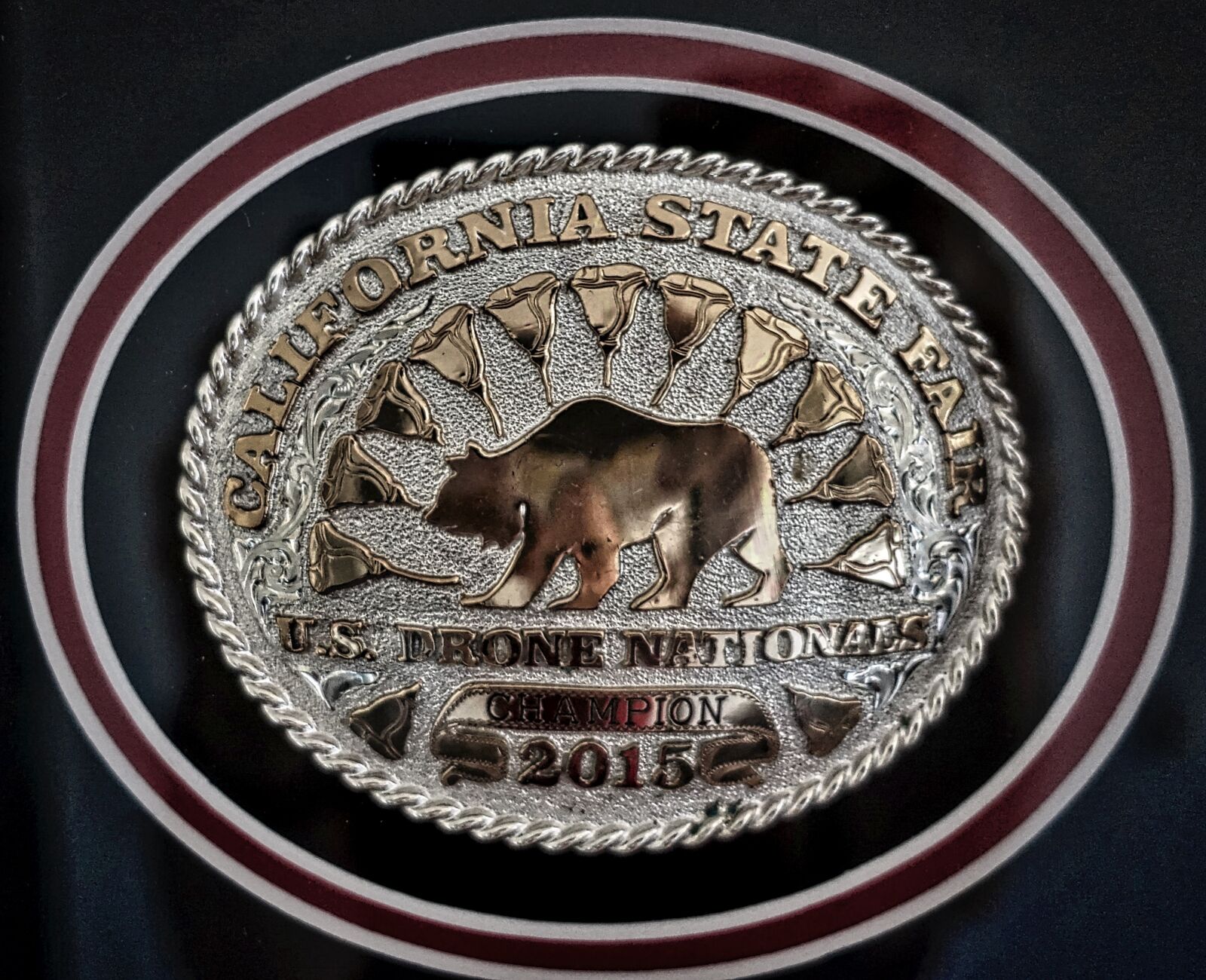 Sony Cyber-shot DSC-RX100 III sample photo. Trophy, award, quadcopter photography