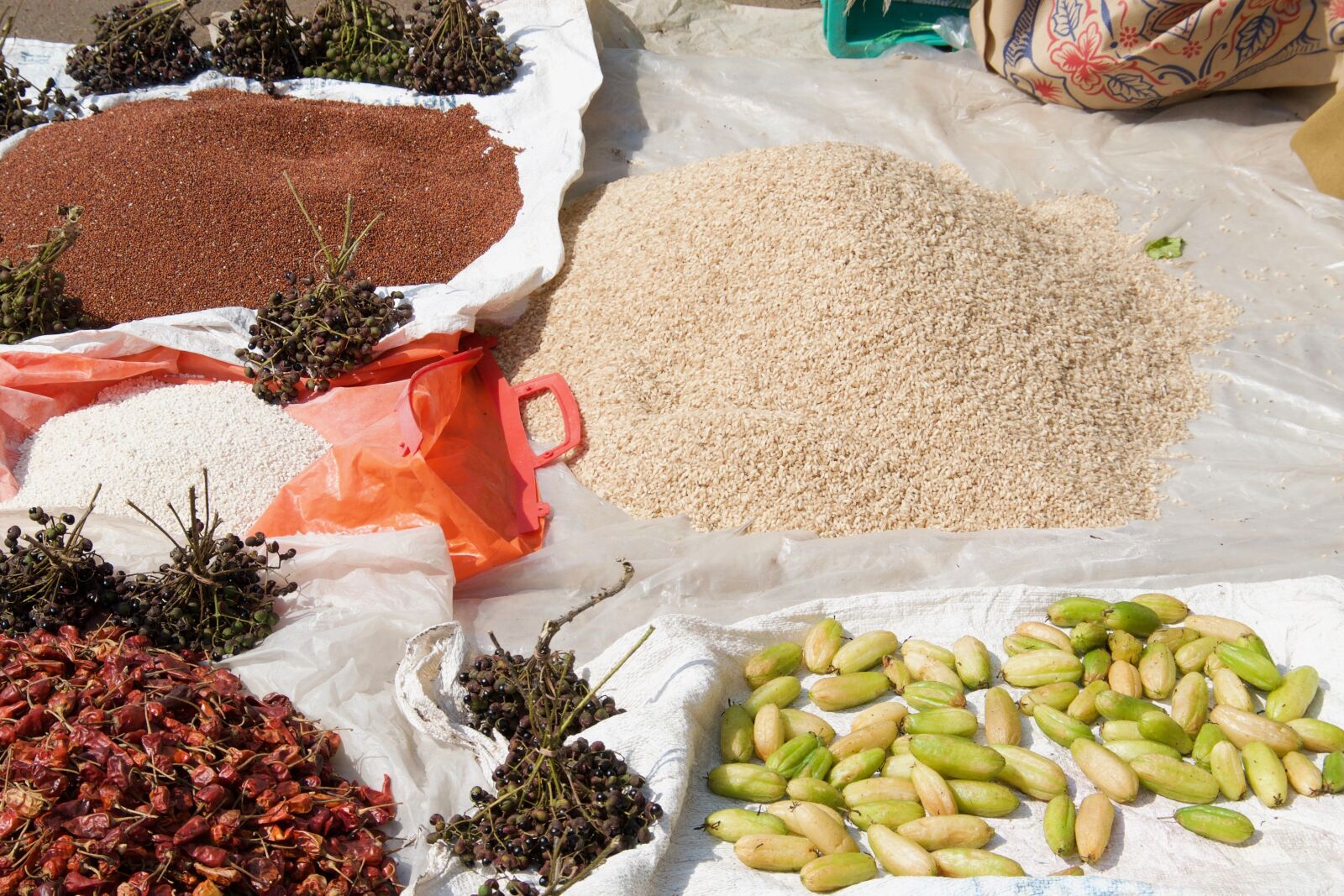 Nikon D3100 sample photo. Spices, curry, india photography
