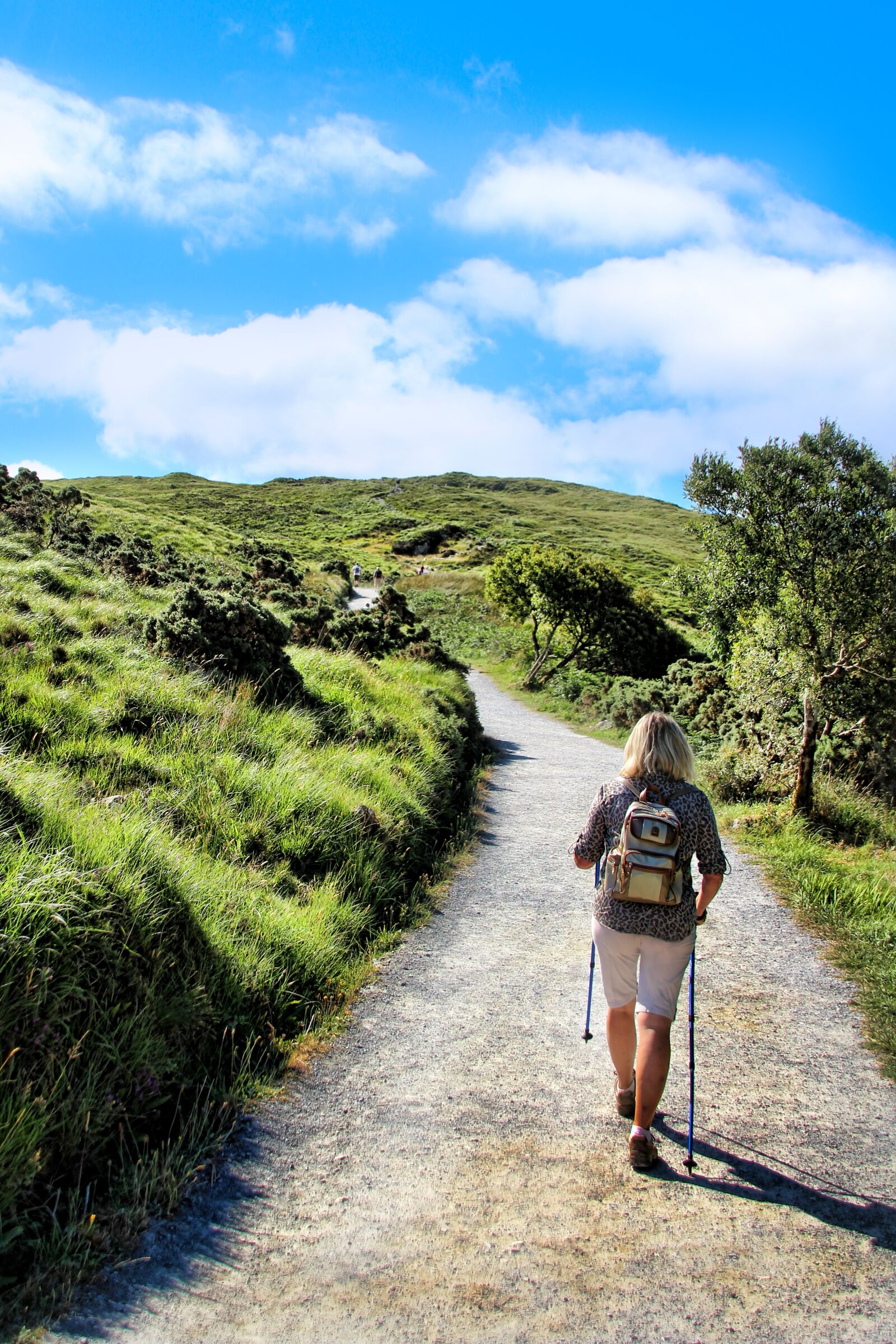 Canon EOS 1300D (EOS Rebel T6 / EOS Kiss X80) sample photo. Ireland, hiking, away photography