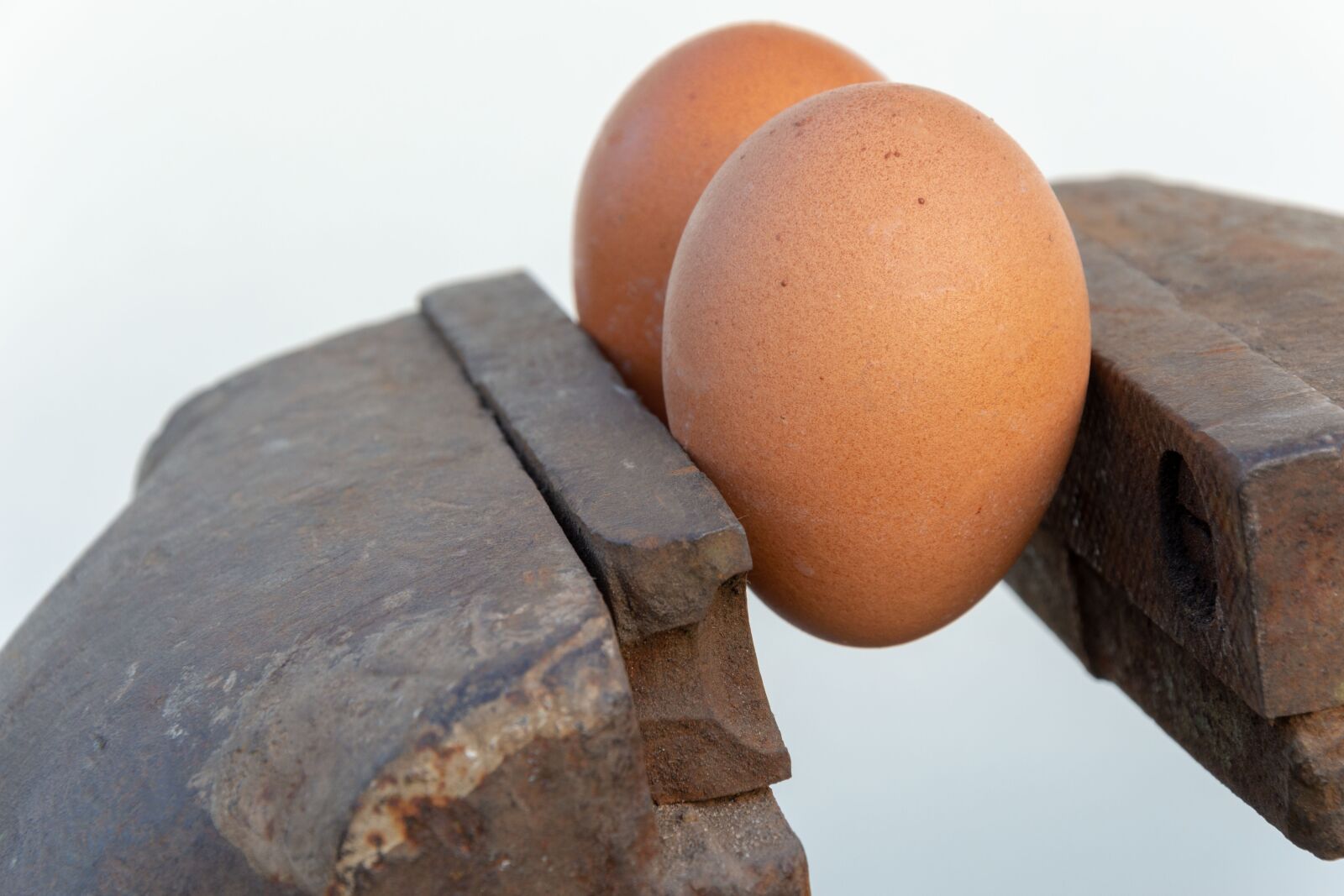 Nikon D3200 sample photo. Egg, press, metal photography