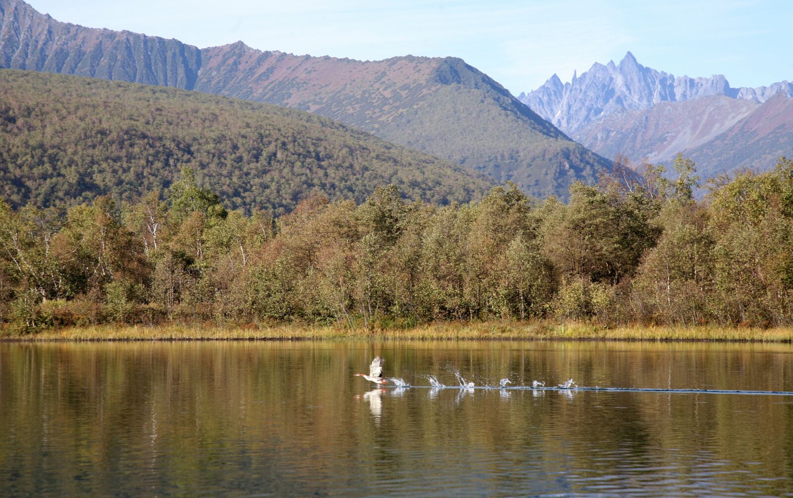 Canon EOS 5D sample photo. Water, lake, nature photography