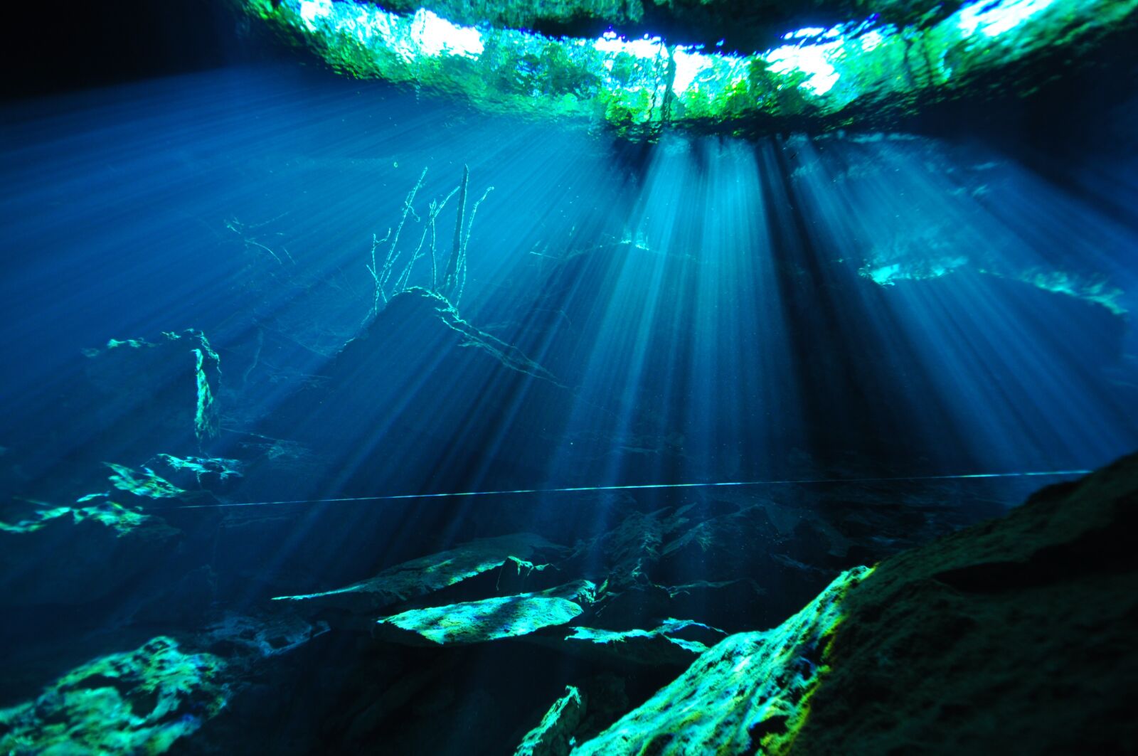 Nikon D90 sample photo. Underwater, diving, cenotes photography