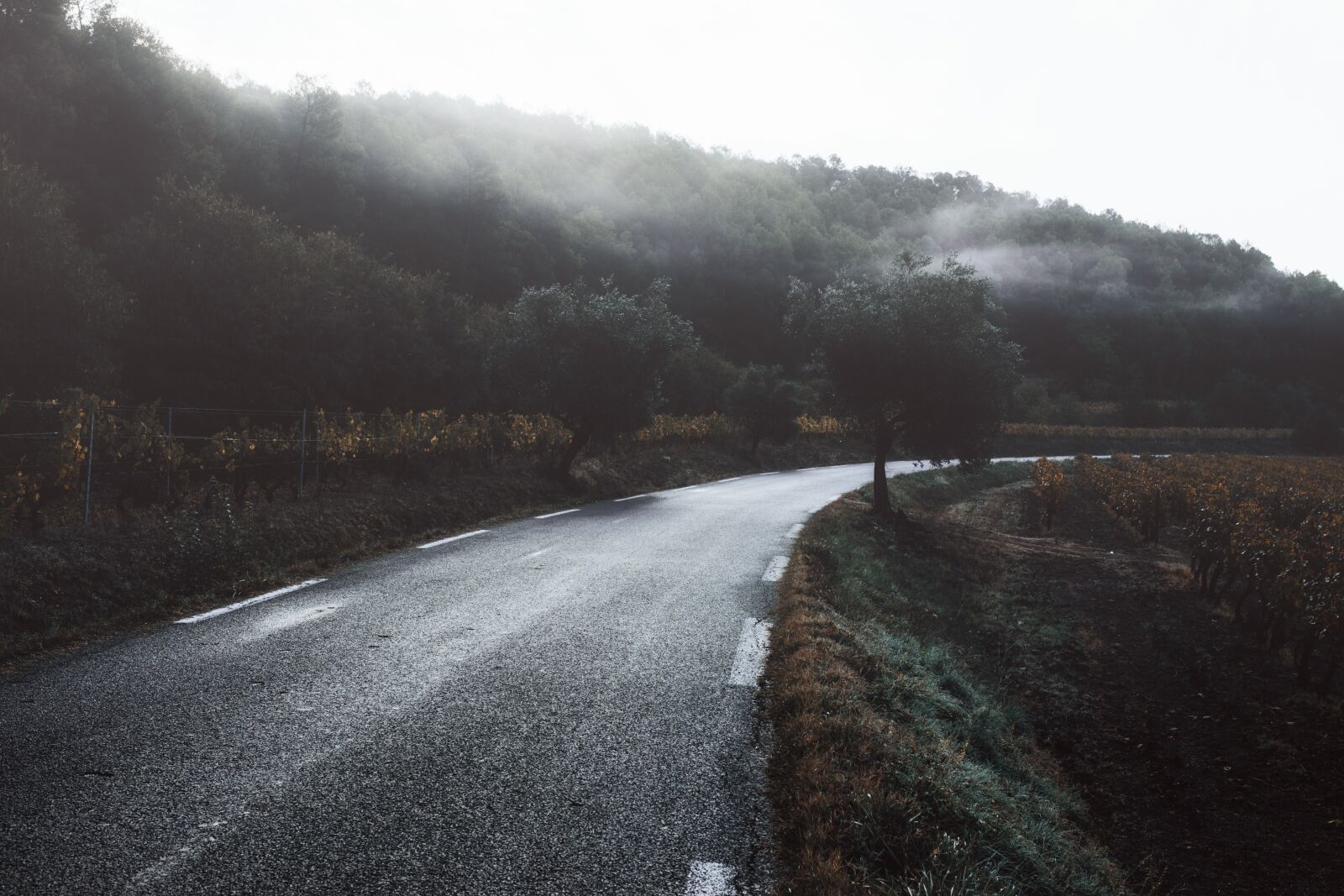 Canon EOS 6D sample photo. Road, provence, france photography
