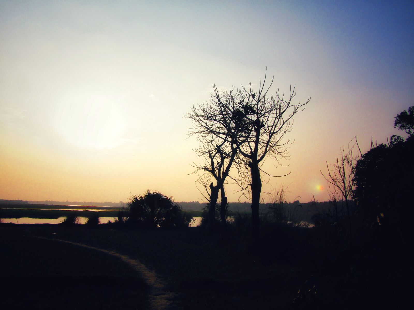 Canon PowerShot SX410 IS sample photo. Nature, landscape, sunset photography