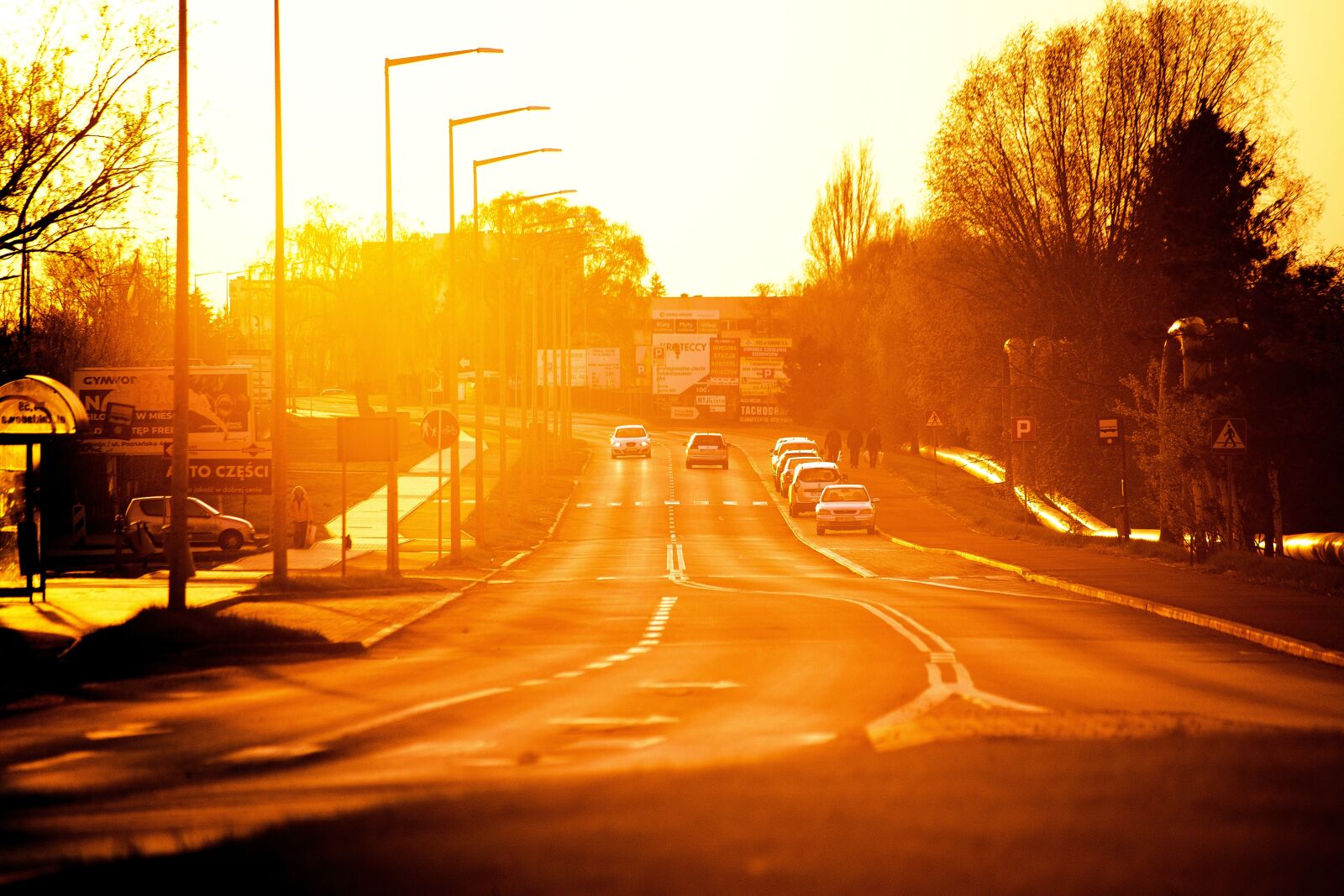 Canon EOS 6D sample photo. Street, the sun, west photography