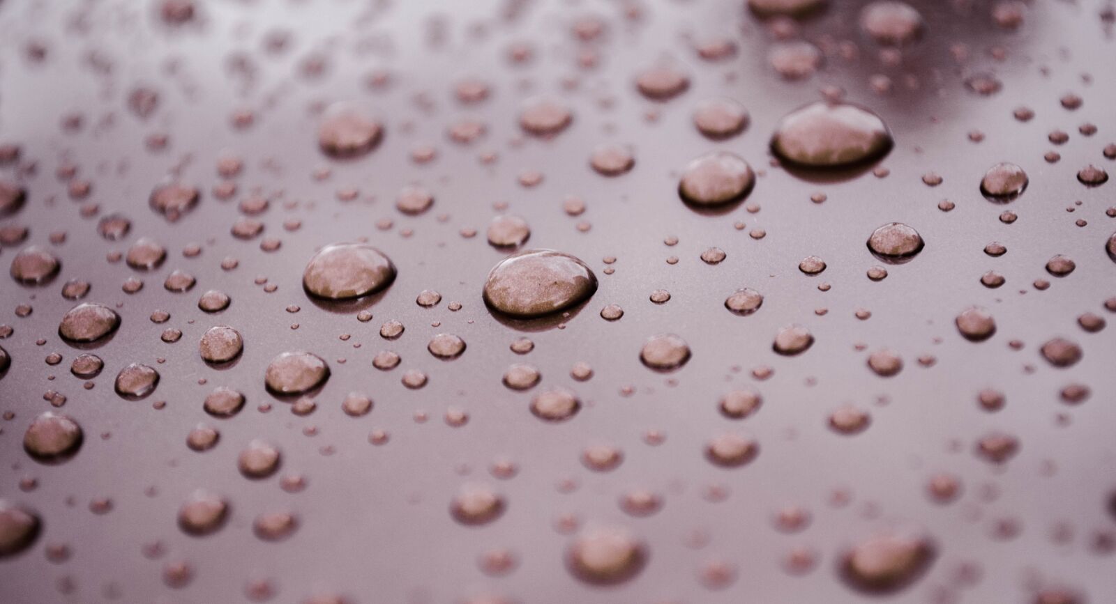 Nikon D90 sample photo. Drops, raindrops, rain photography