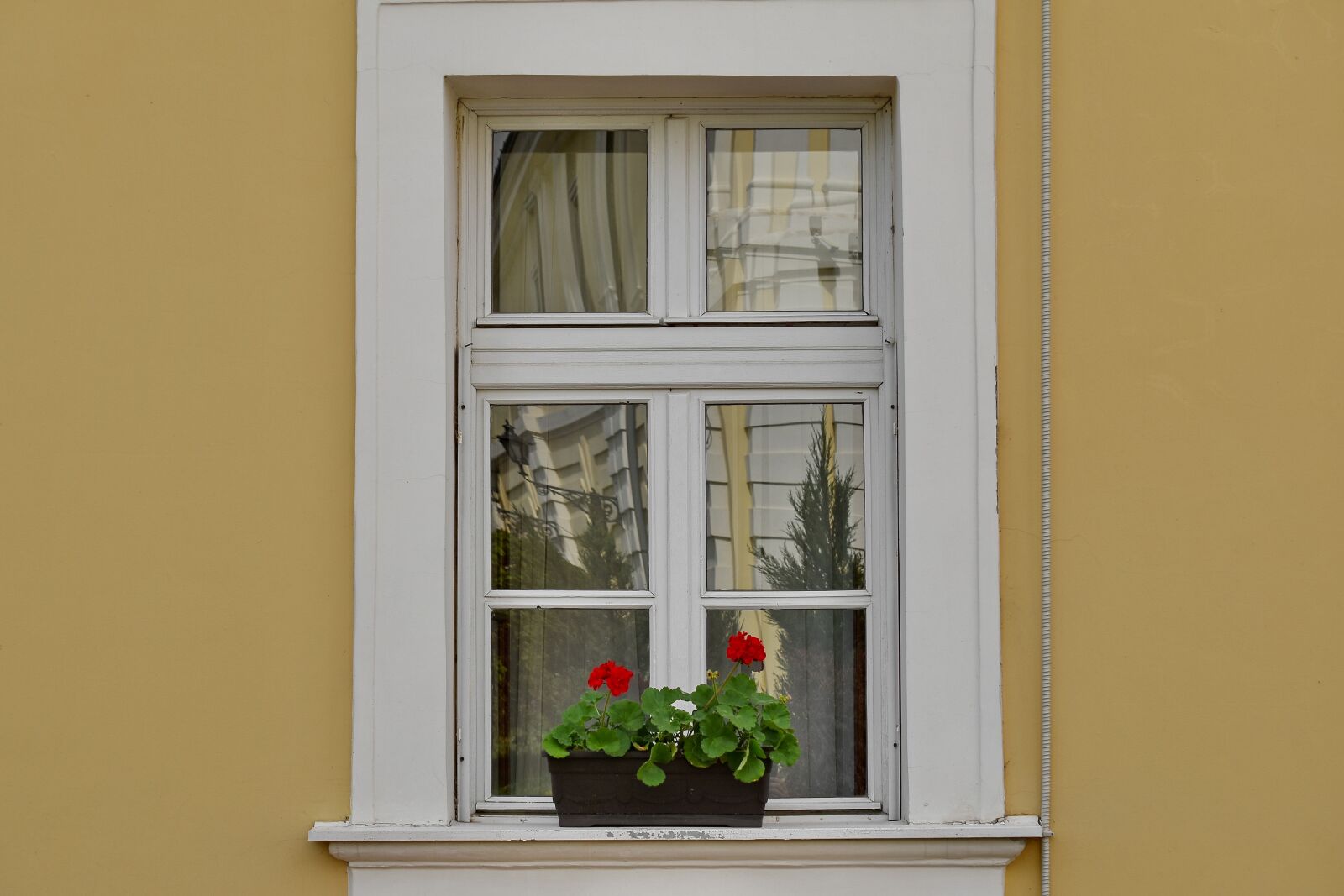 Nikon D5500 sample photo. Facade, flowerpot, window, sill photography
