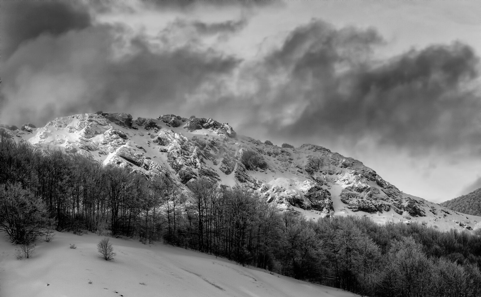 Nikon D7200 sample photo. Snow, cold, trees photography