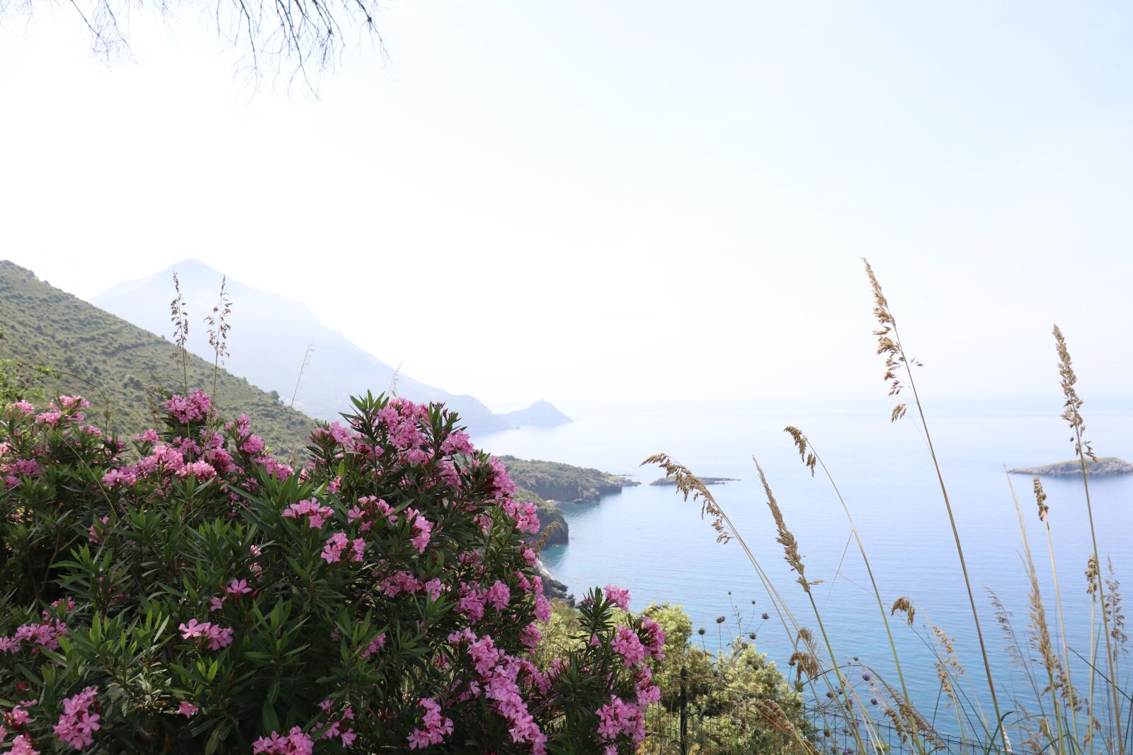 Canon EOS 200D (EOS Rebel SL2 / EOS Kiss X9) sample photo. Landscape, summer, sky photography