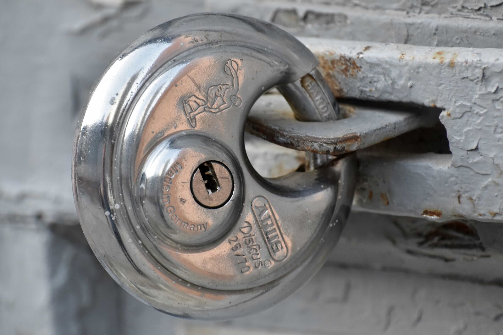 Nikon D5500 sample photo. Cast iron, front door photography