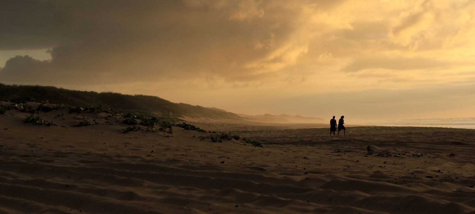 Canon EOS 550D (EOS Rebel T2i / EOS Kiss X4) sample photo. Beach, evening, forward photography
