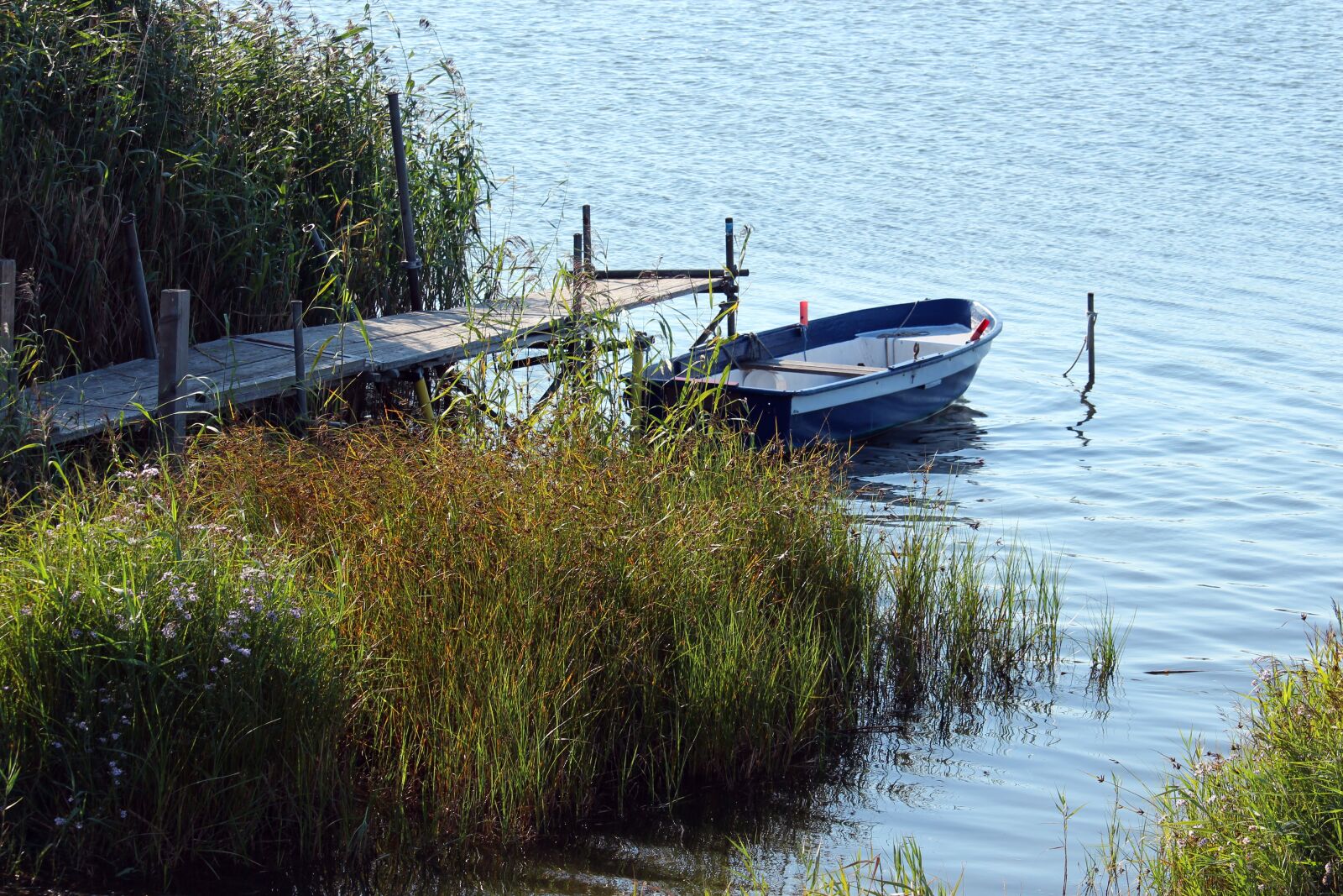 Canon EF-S 55-250mm F4-5.6 IS STM sample photo. Boat, rowing boat, water photography