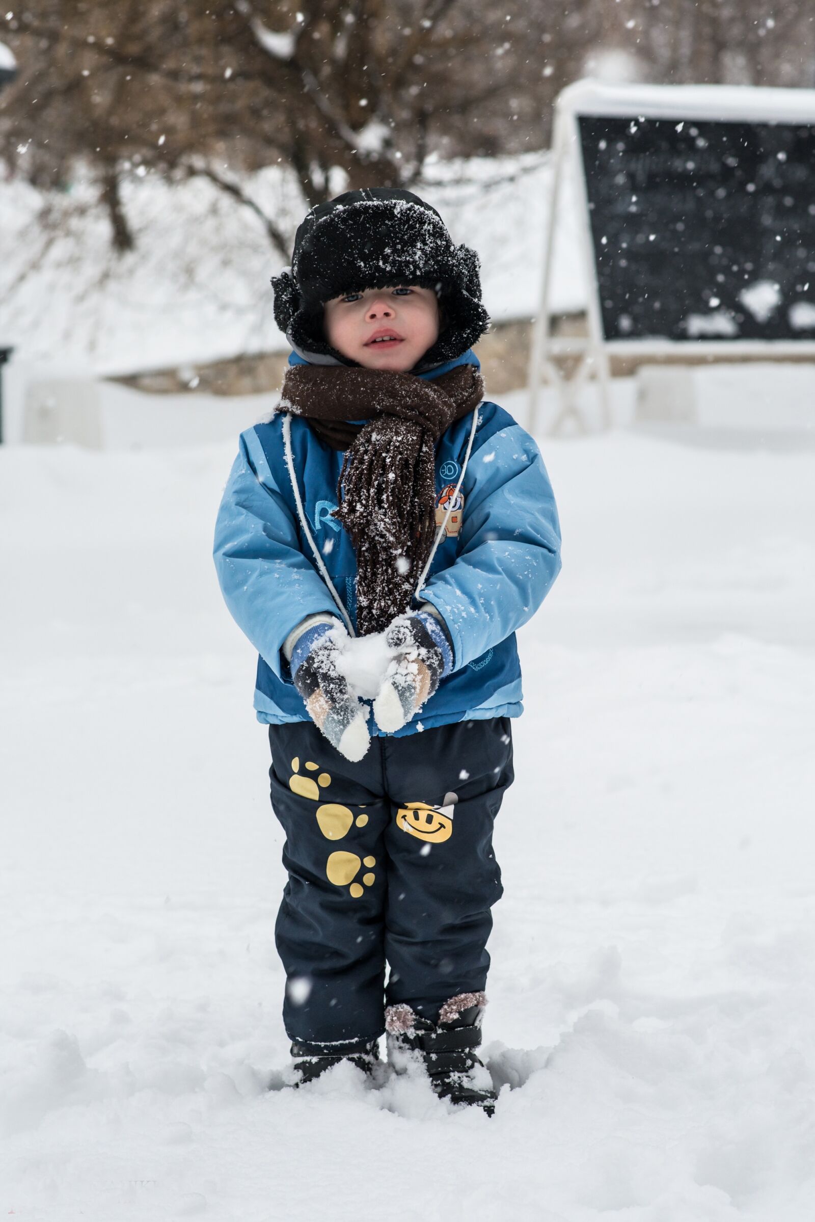 Nikon D800E sample photo. Winter, snow, the snow photography