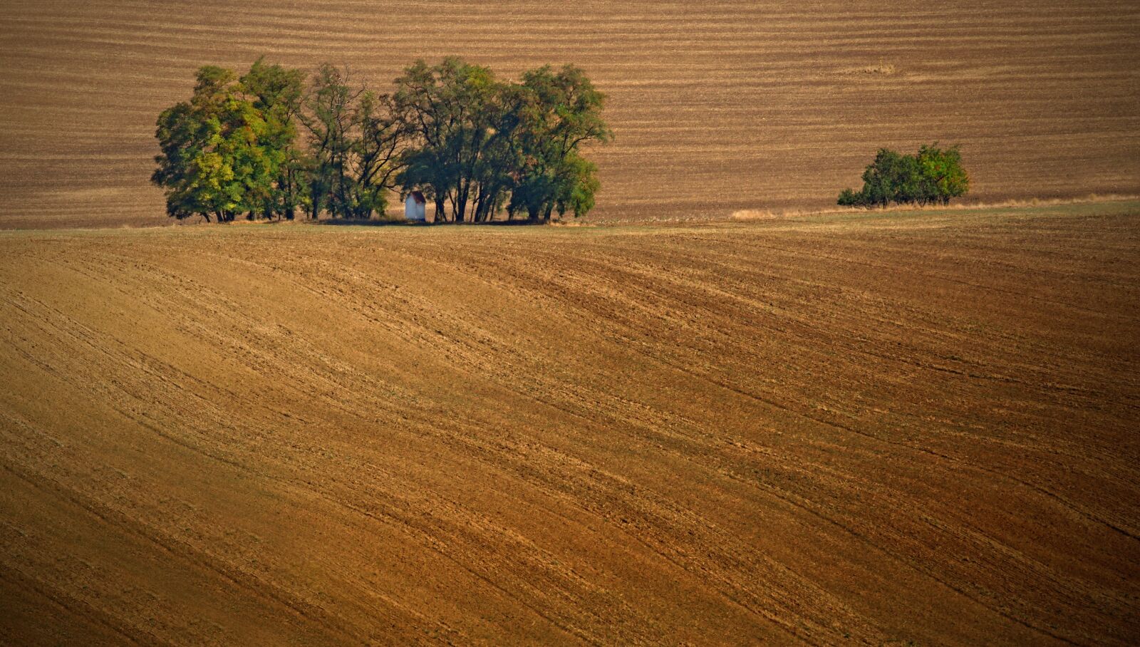 Minolta AF 200mm F2.8 HS-APO G sample photo. Summer, trees, landscape photography