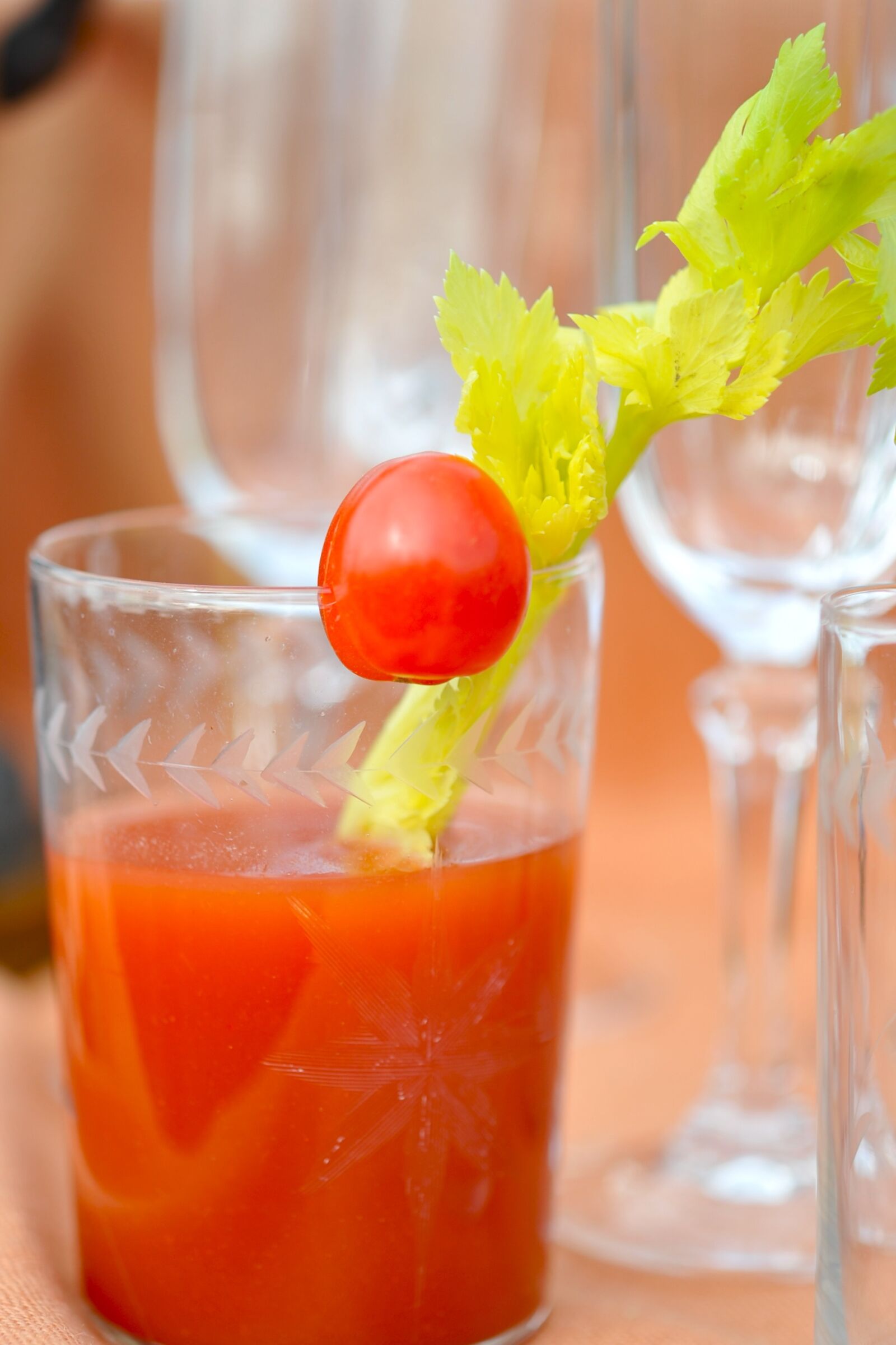 Nikon D700 sample photo. Drink, bloody mary, alcohol photography