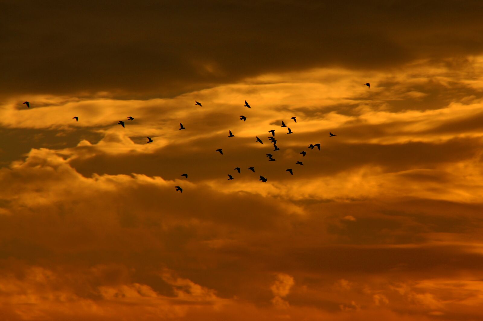 Canon EOS 700D (EOS Rebel T5i / EOS Kiss X7i) sample photo. Sunset, sky, cloud photography
