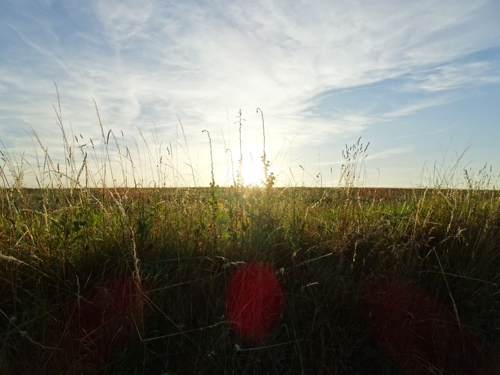 Sony Cyber-shot DSC-HX90V sample photo. Golden, hour photography