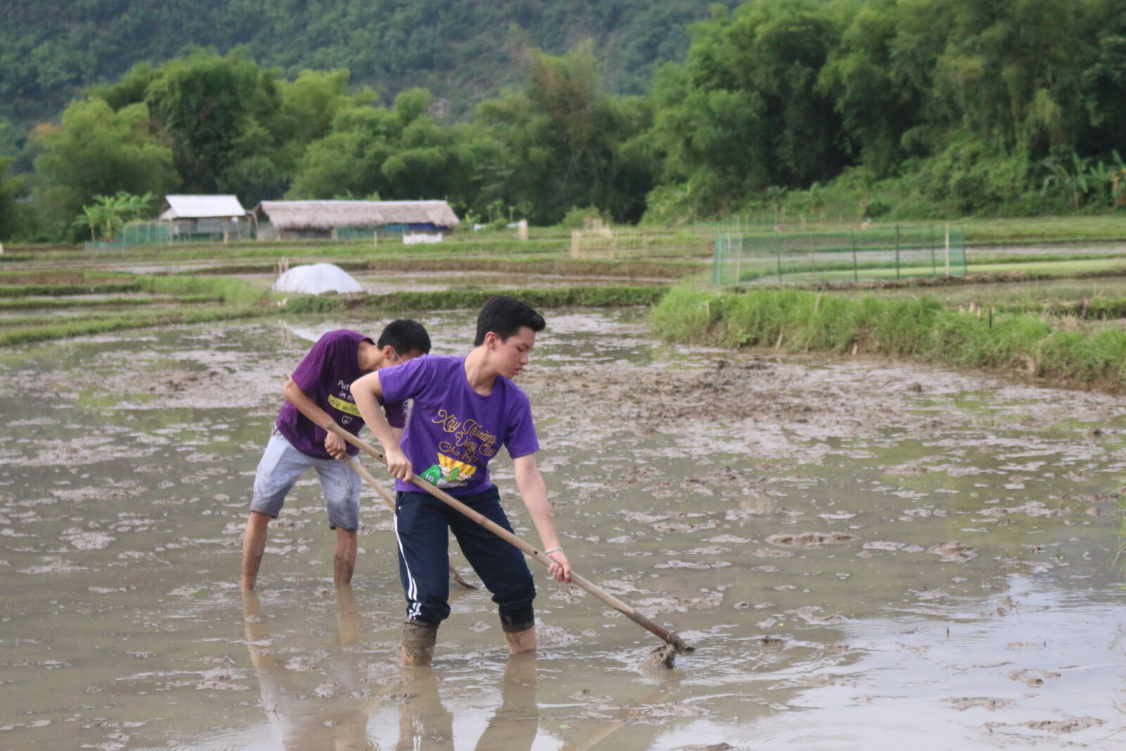 Canon EOS 70D sample photo