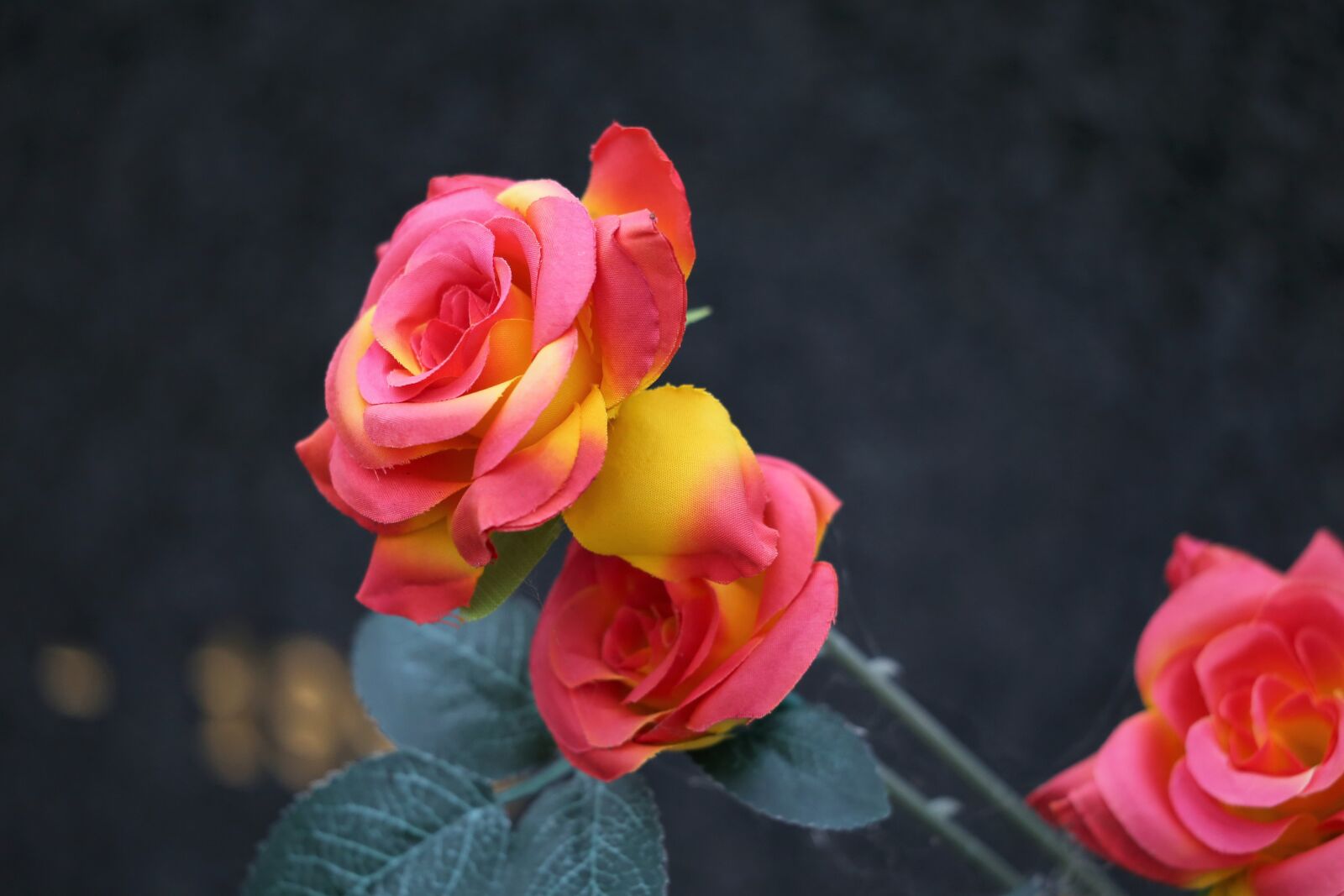 Canon EOS 6D sample photo. Decoration, red yellow roses photography
