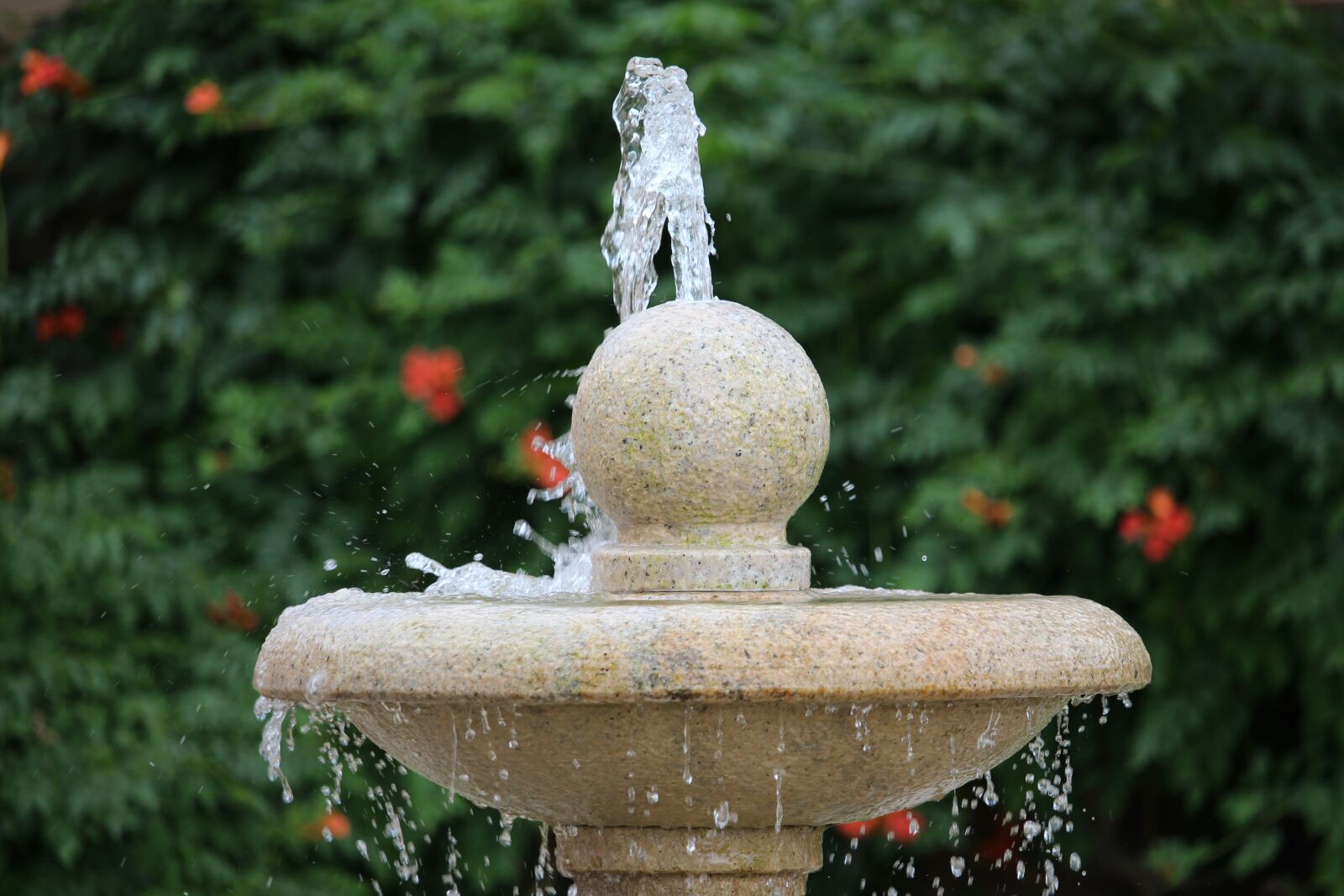 Canon EOS 700D (EOS Rebel T5i / EOS Kiss X7i) + Canon EF-S 55-250mm F4-5.6 IS STM sample photo. Fountain, water, wet photography