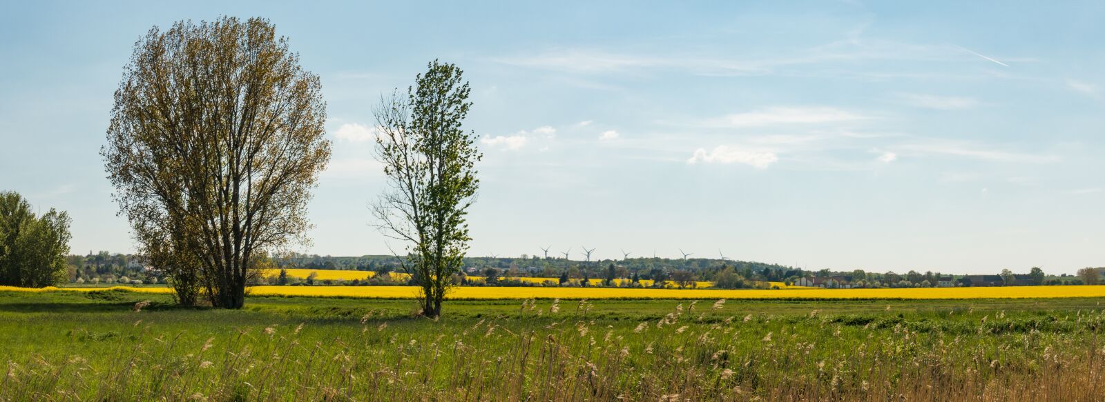 Sony Cyber-shot DSC-RX100 III sample photo. Fields, landscape, panorama photography