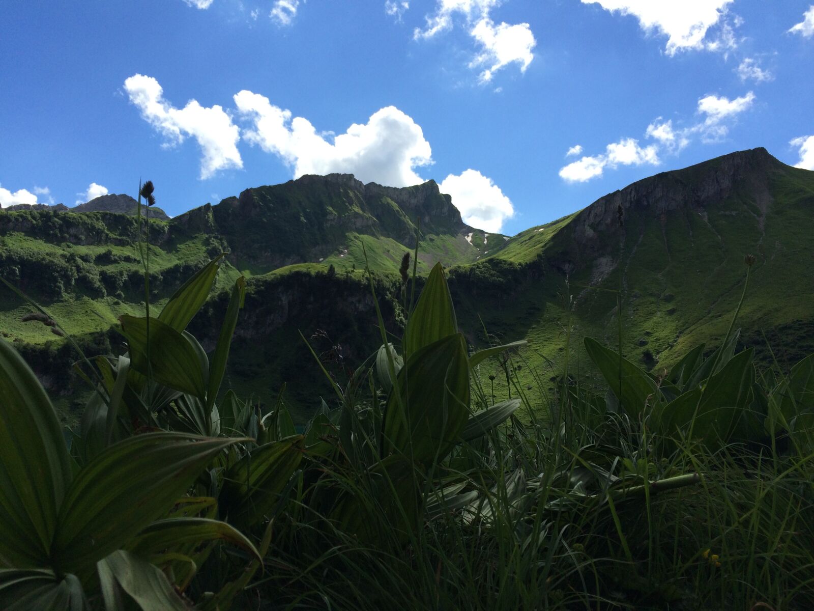 iPhone 5s back camera 4.15mm f/2.2 sample photo. Green, mountains, landscape photography