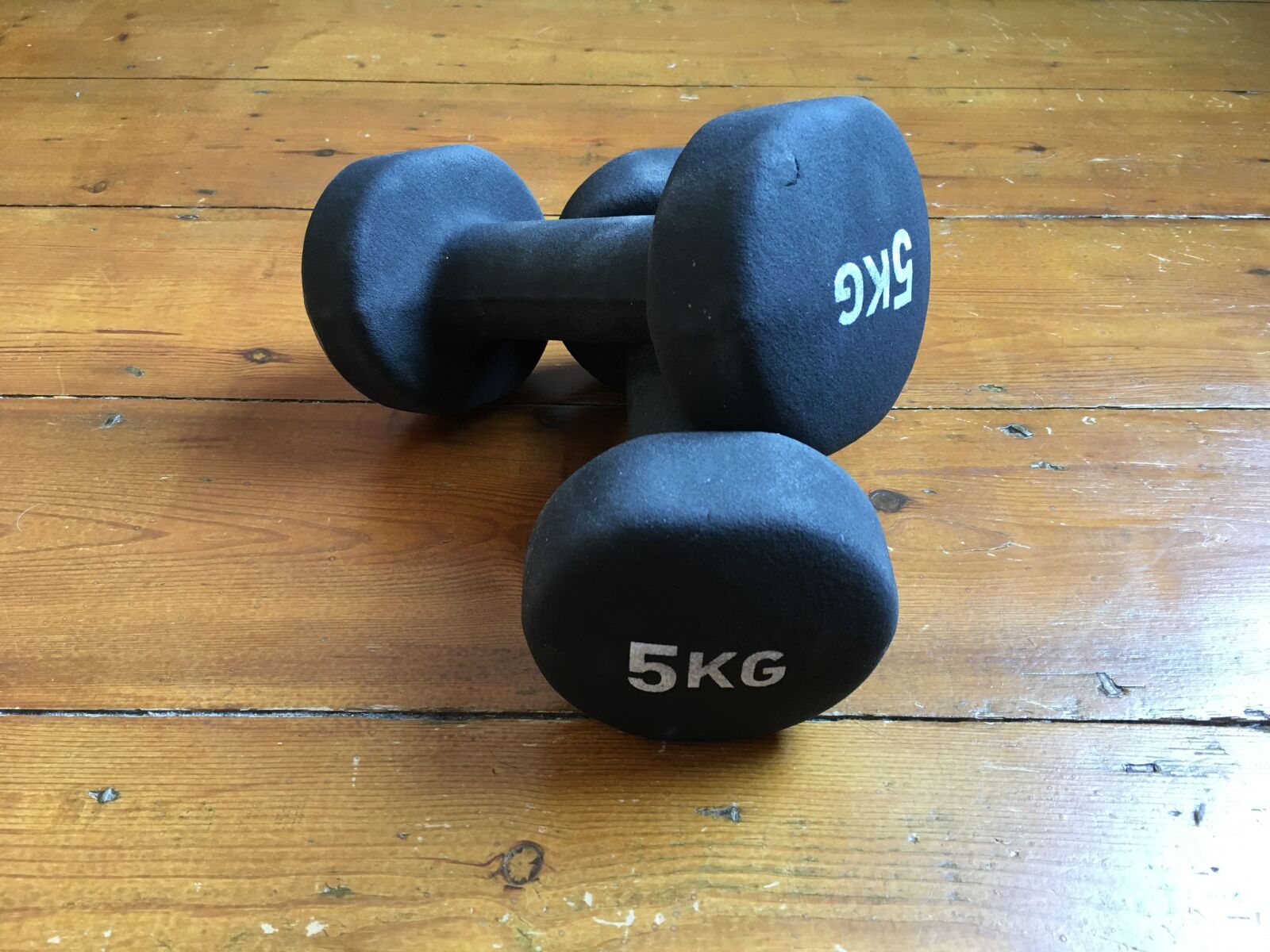 Apple iPhone 6s sample photo. Dumbbells, 5kg, weight photography