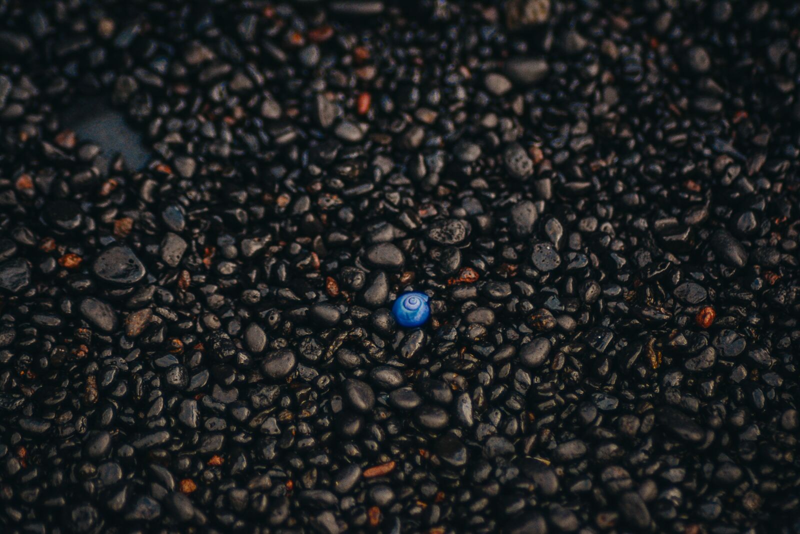 Nikon D7100 sample photo. Unique, standout, different photography