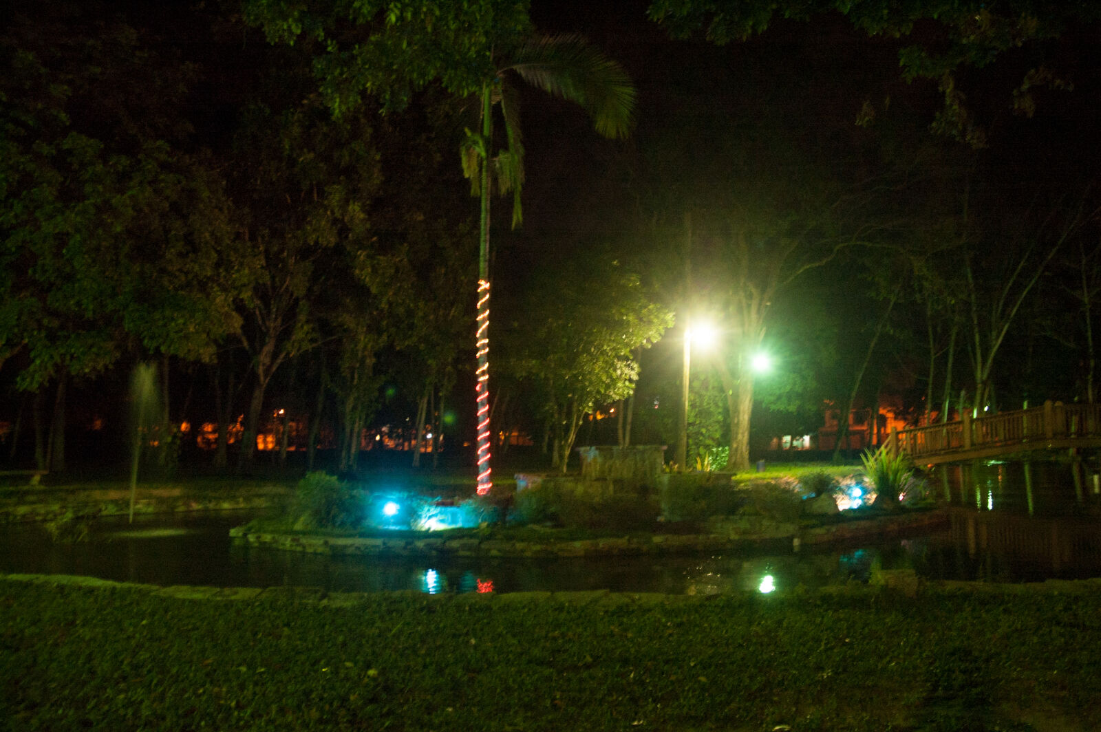 Nikon D70 sample photo. City, park, night, time photography