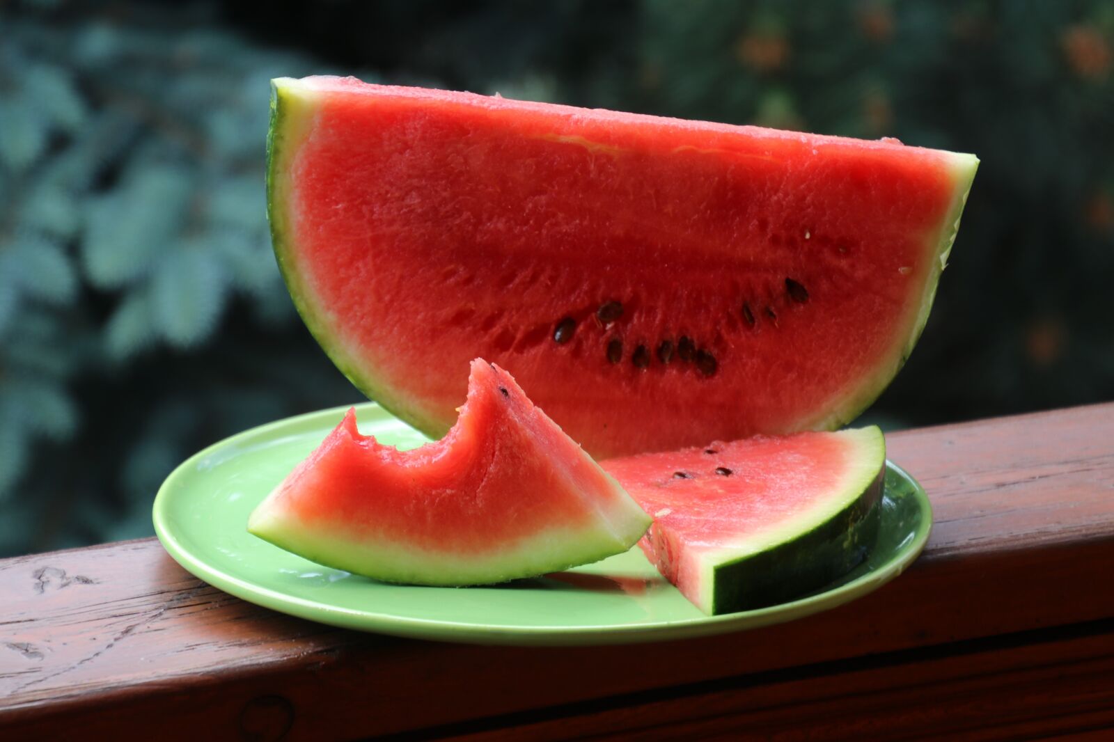 Canon EOS 80D sample photo. Watermelon, sectioned, gnawed photography
