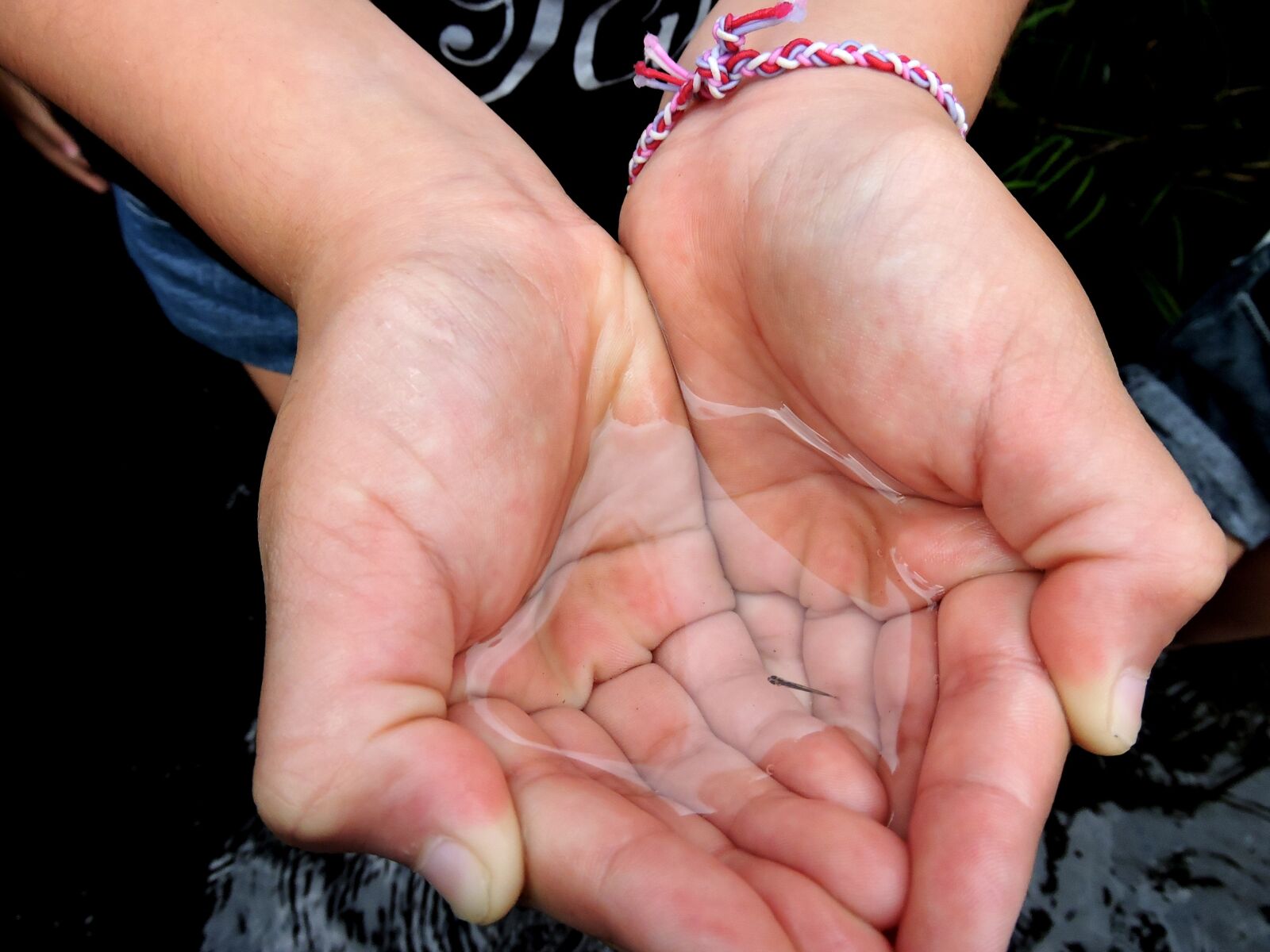 Nikon Coolpix P600 sample photo. Hands, tadpole, fish photography