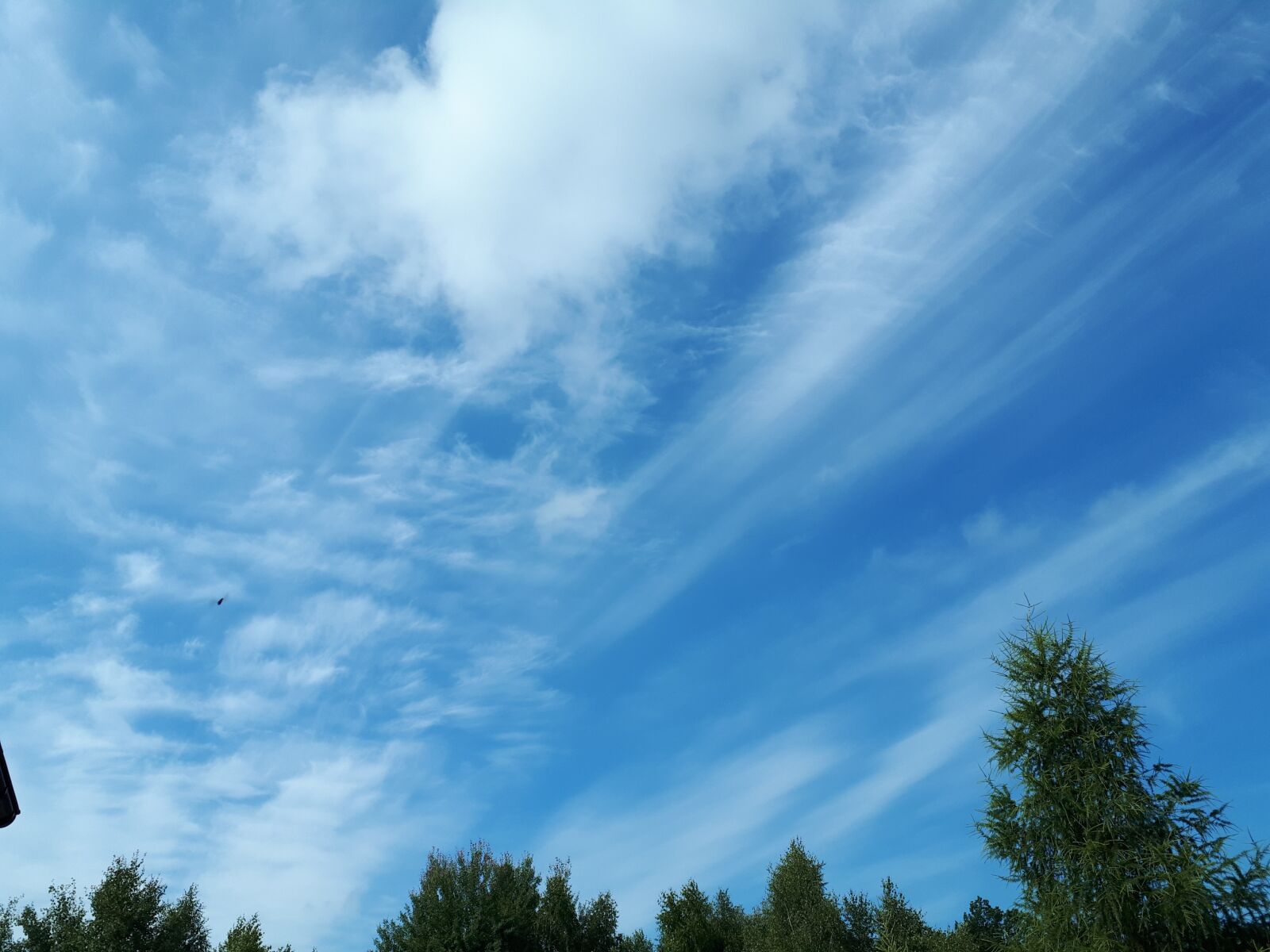Samsung Galaxy A5(2017) sample photo. Sky, blue, nature photography
