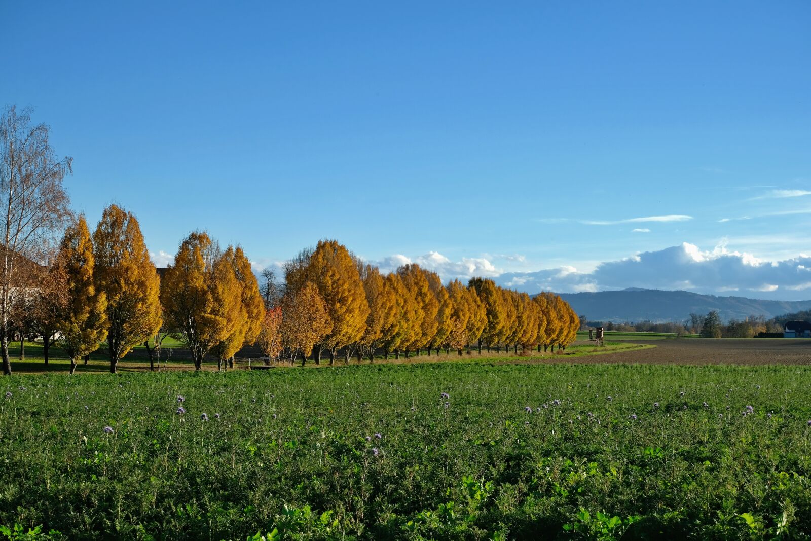 Fujifilm XC 15-45mm F3.5-5.6 OIS PZ sample photo. Nature, landscape, autumn photography