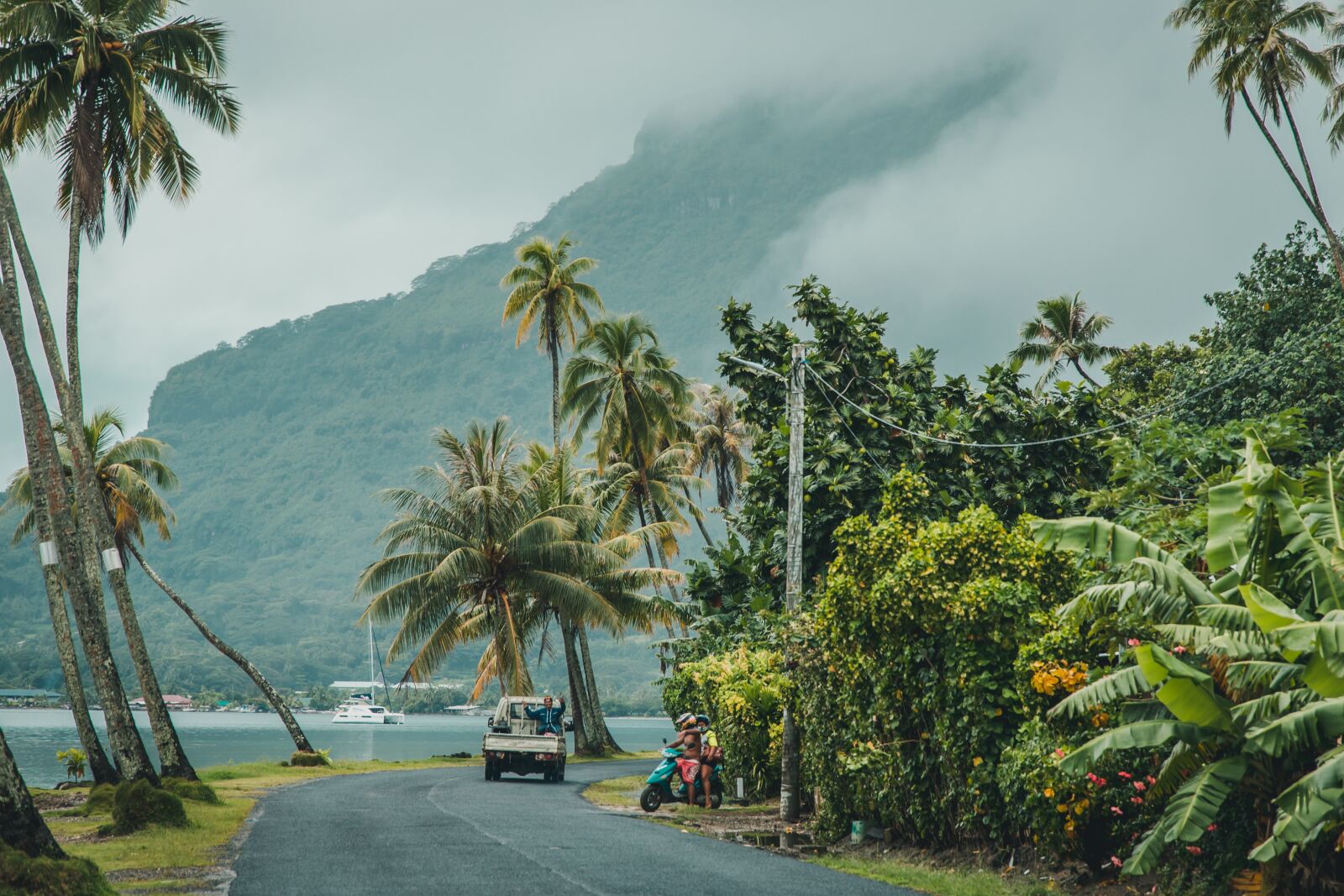 Canon EOS 6D sample photo. French polynesia, palm tree photography