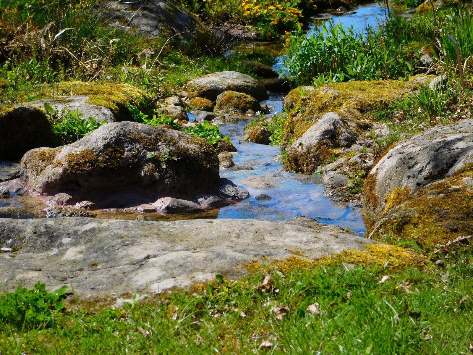 Nikon Coolpix L840 sample photo. River, small river, bach photography