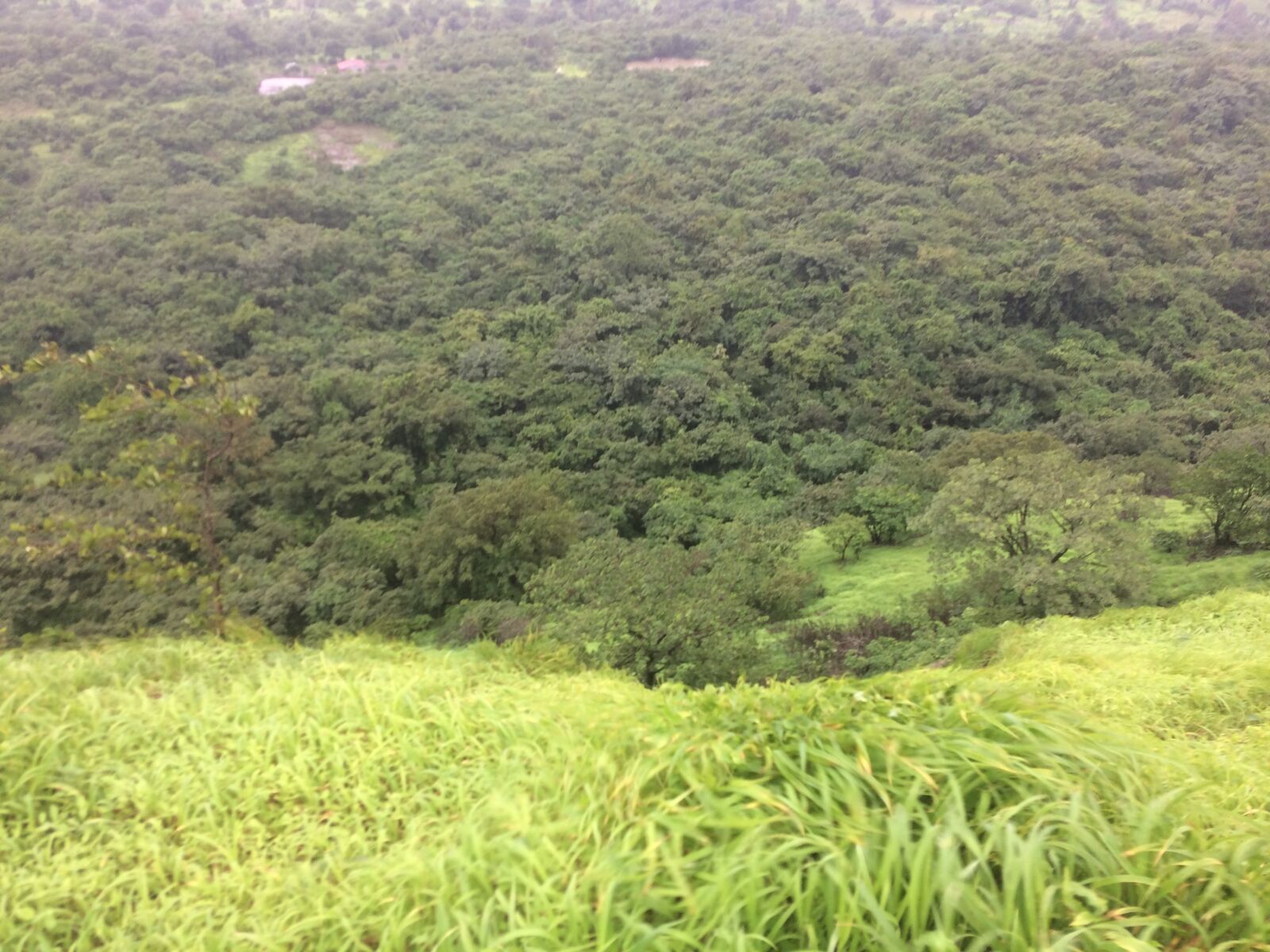iPhone 5s back camera 4.15mm f/2.2 sample photo. Fort, nature, rainy, tikona photography