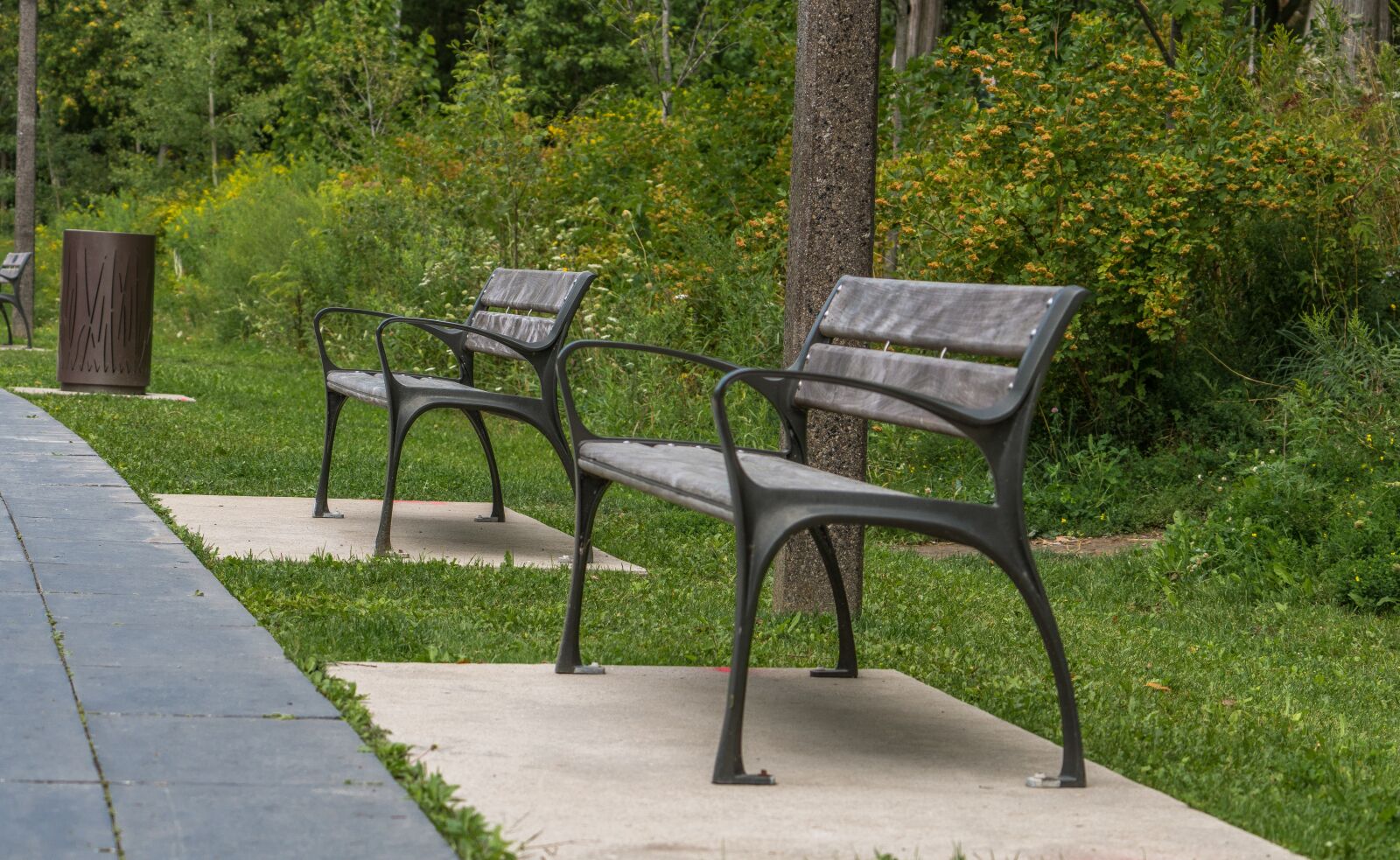 Sony a6500 sample photo. Bench, nature, park photography