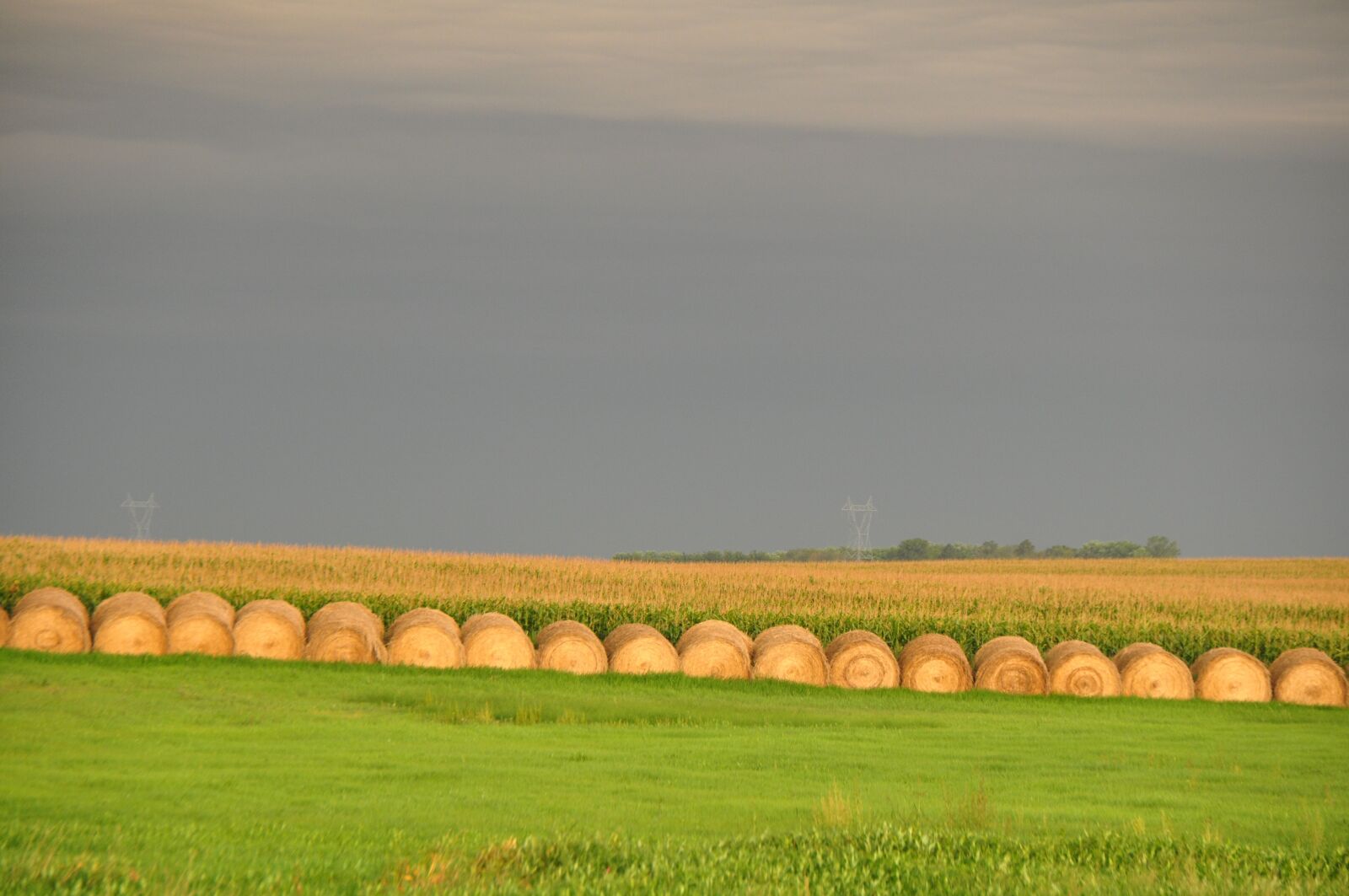 Nikon D5000 sample photo. Hay, round, bales photography