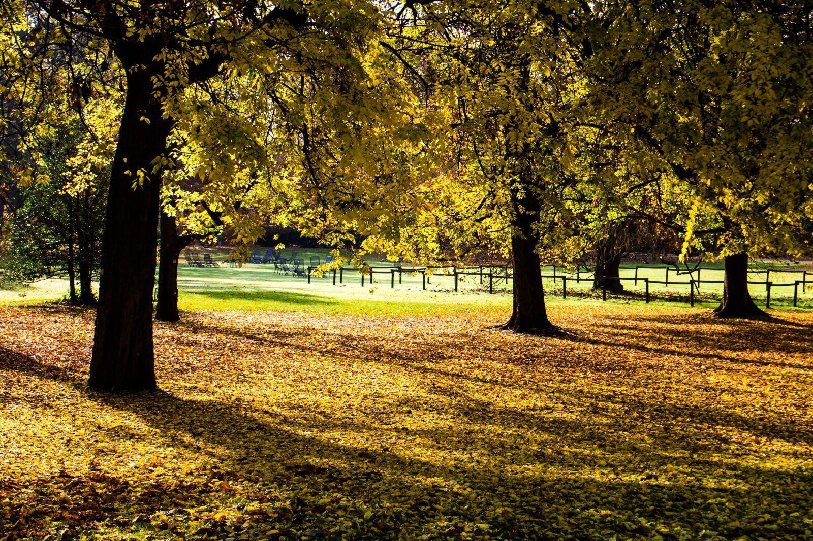 Canon EOS 600D (Rebel EOS T3i / EOS Kiss X5) sample photo. Autumn, autumn colours, fall photography