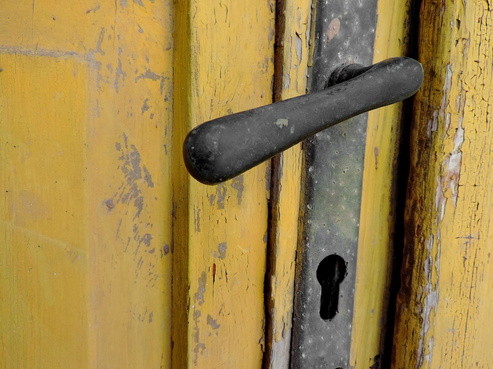 Nikon Coolpix P520 sample photo. Door, wood, fastener, old photography