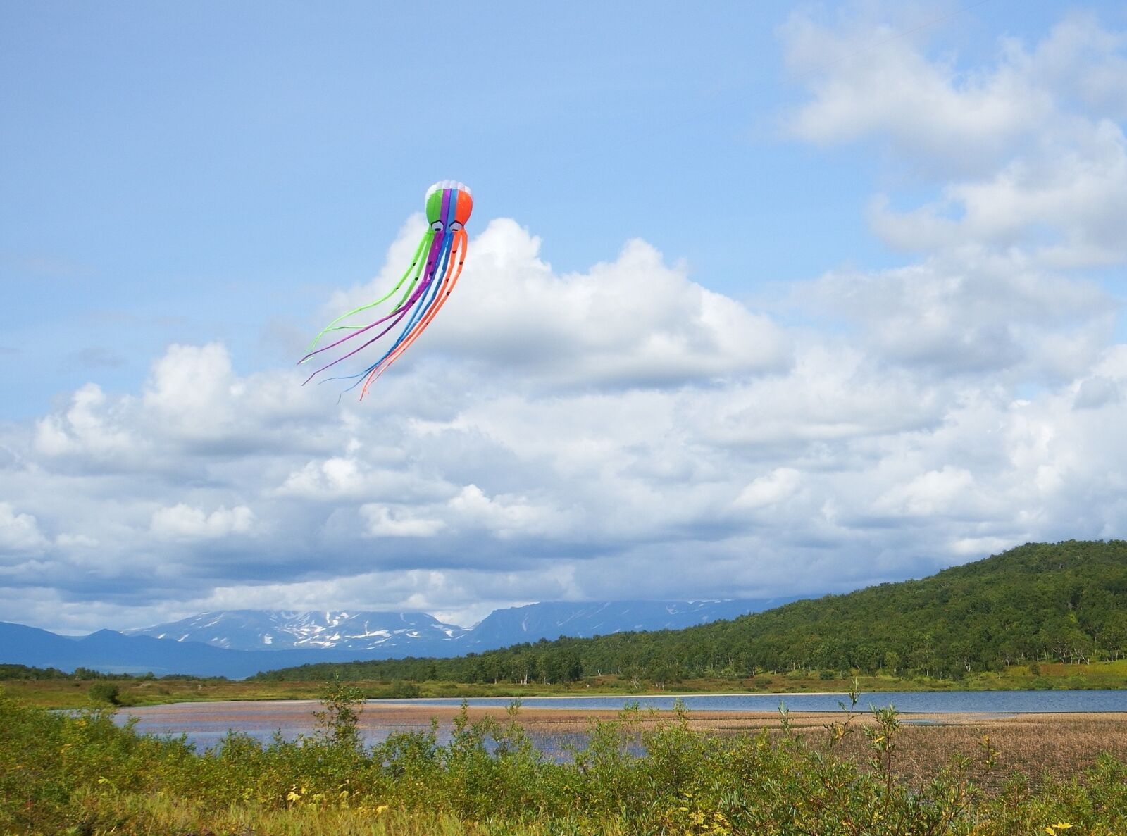 Fujifilm FinePix S1 sample photo. Kite, lake, clouds photography