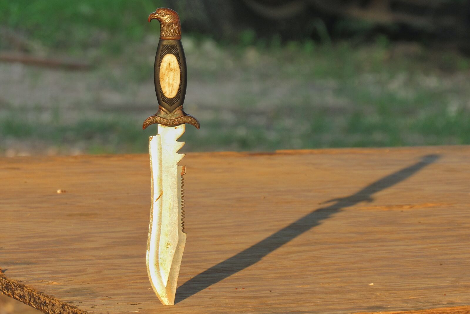 Canon PowerShot SX530 HS sample photo. Knife, stab, handle photography
