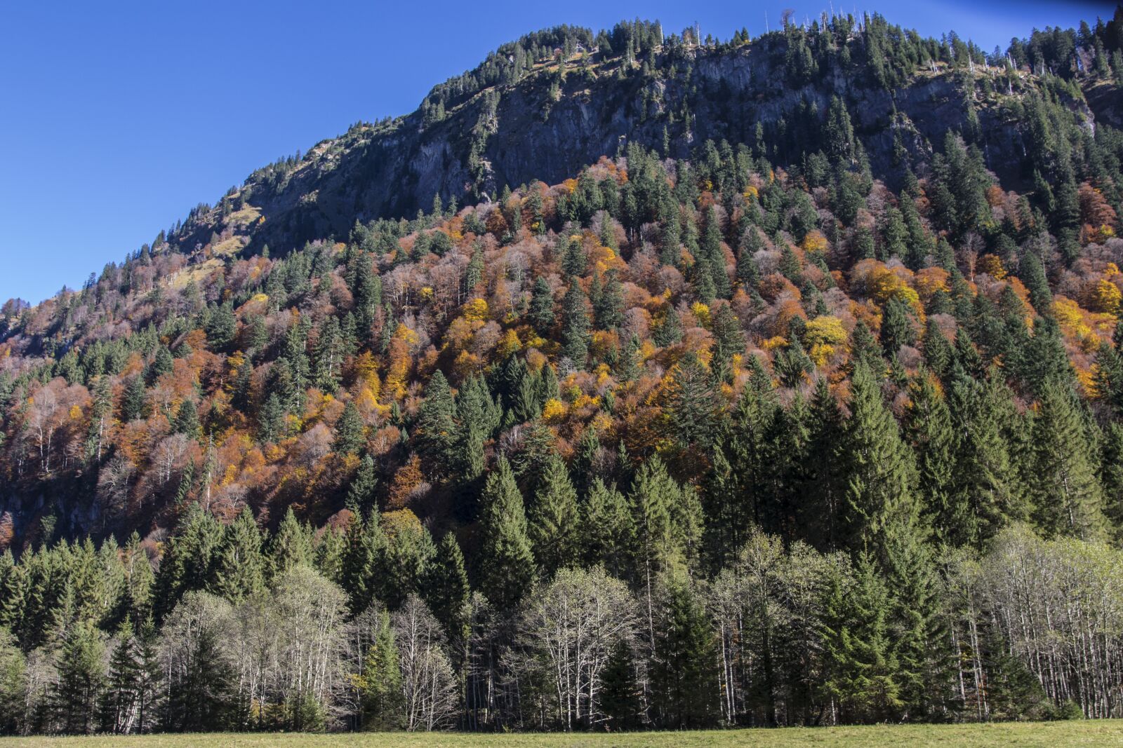 Canon EOS 7D Mark II sample photo. Mountain forests, autumn forest photography